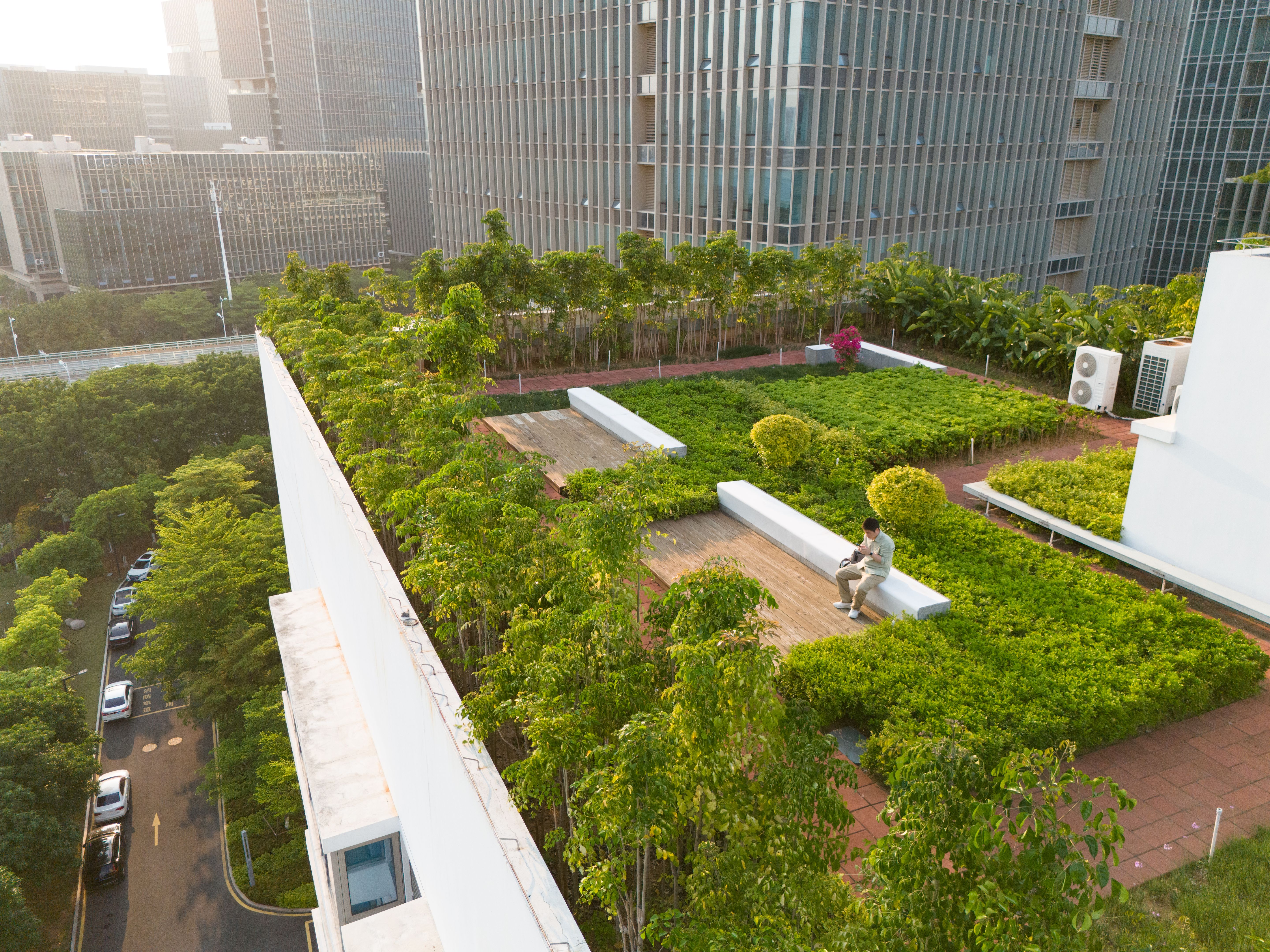 sustainable city