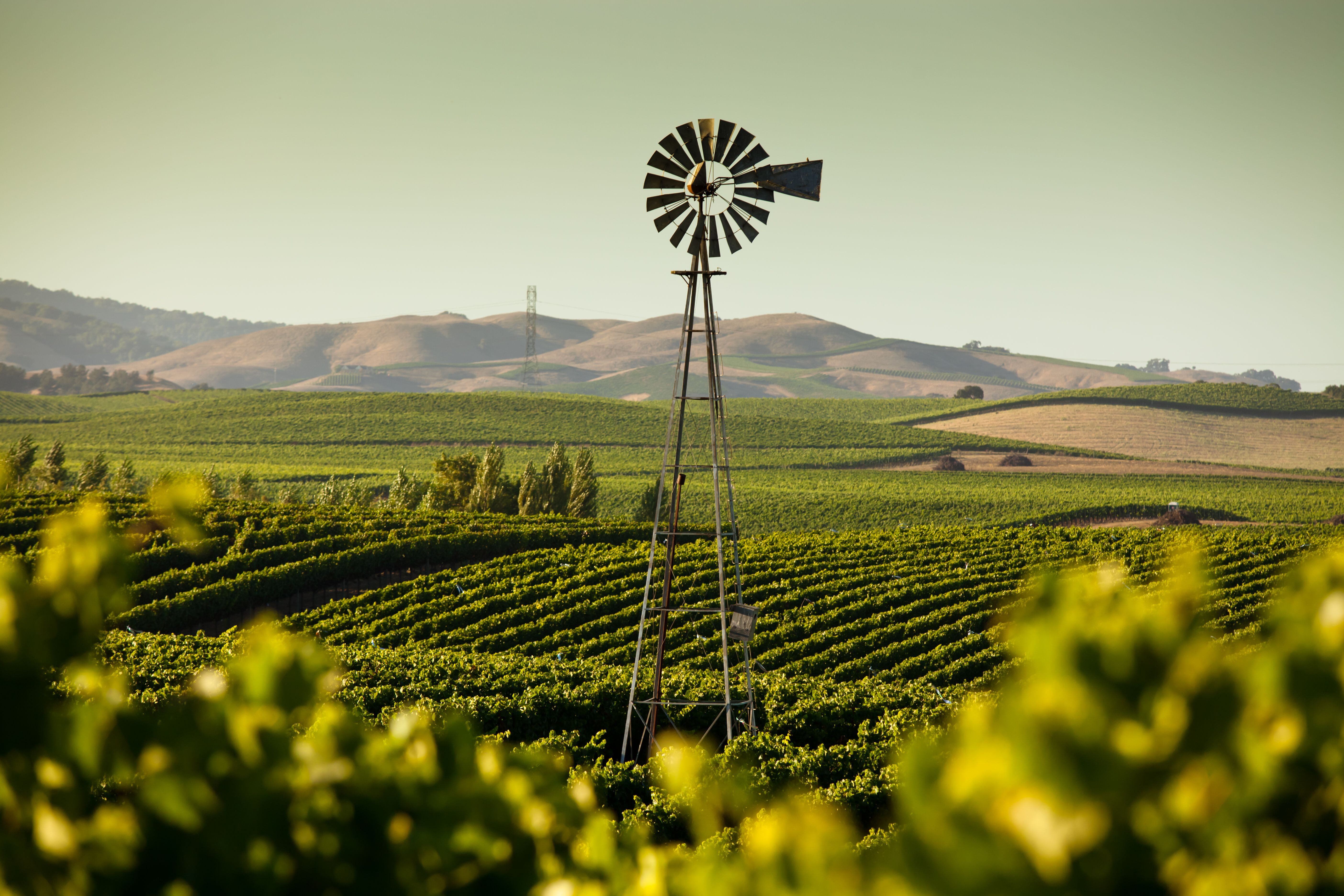 california countryside