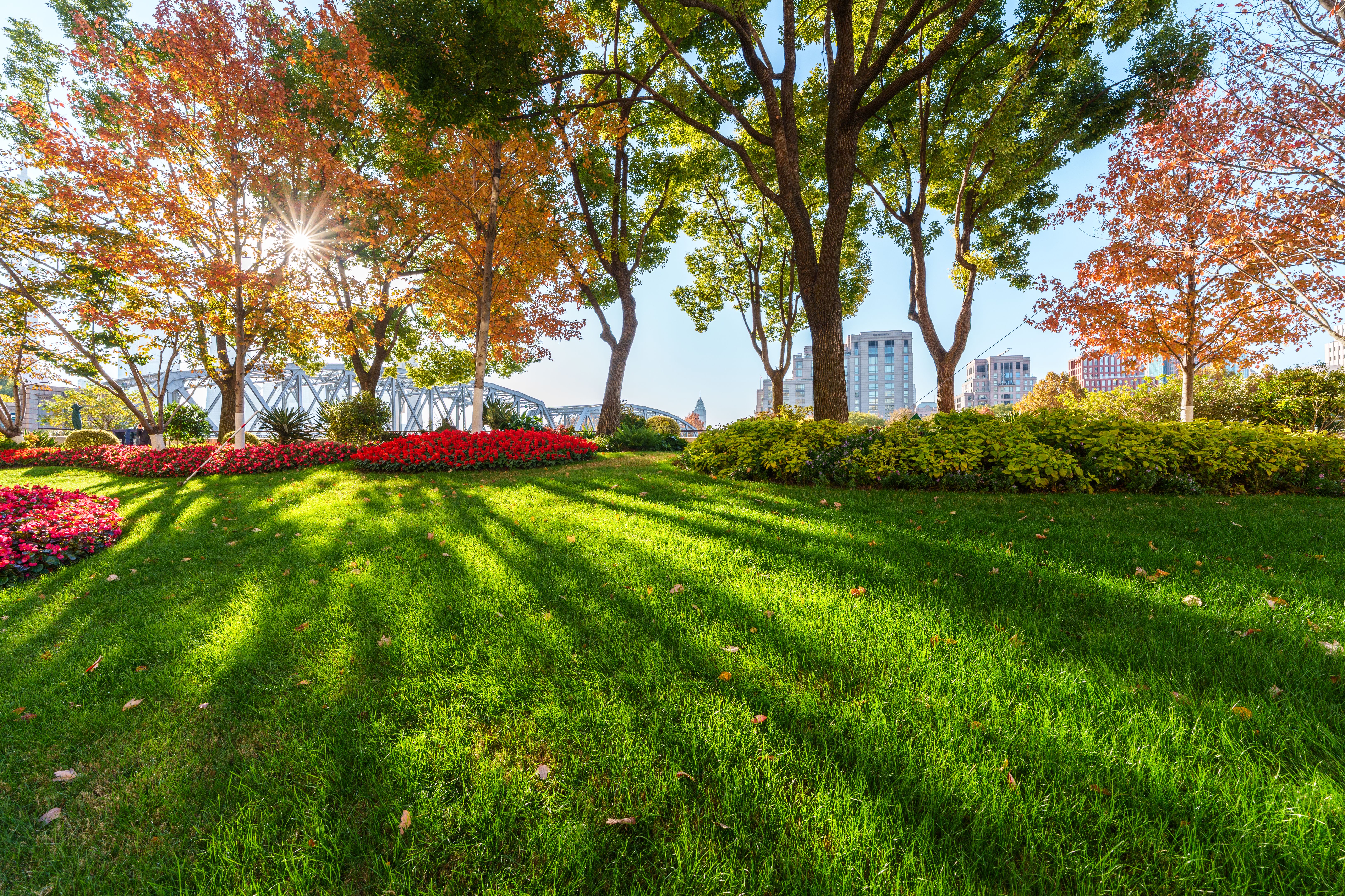 environmental benefits lawn