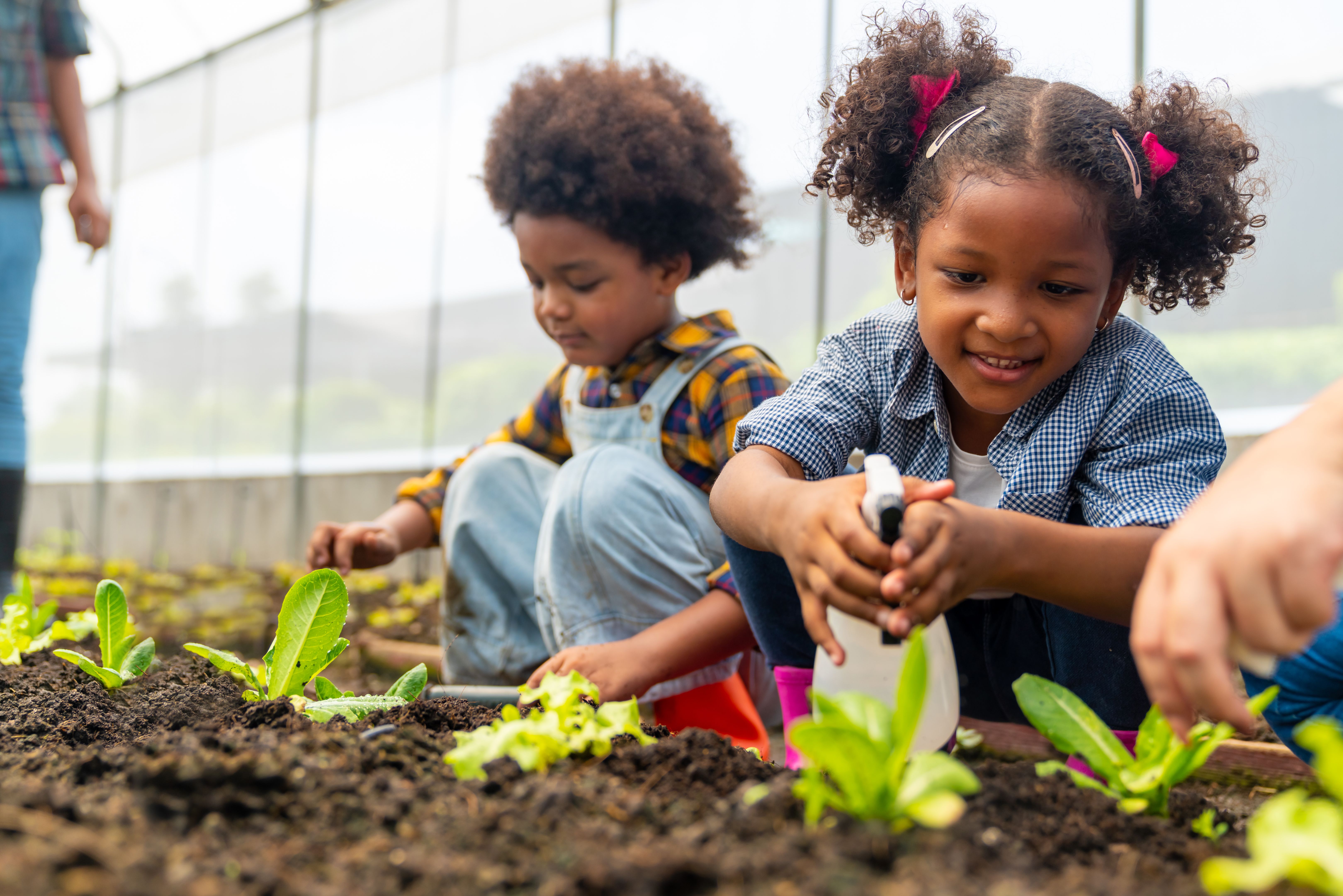 children picking vegetables