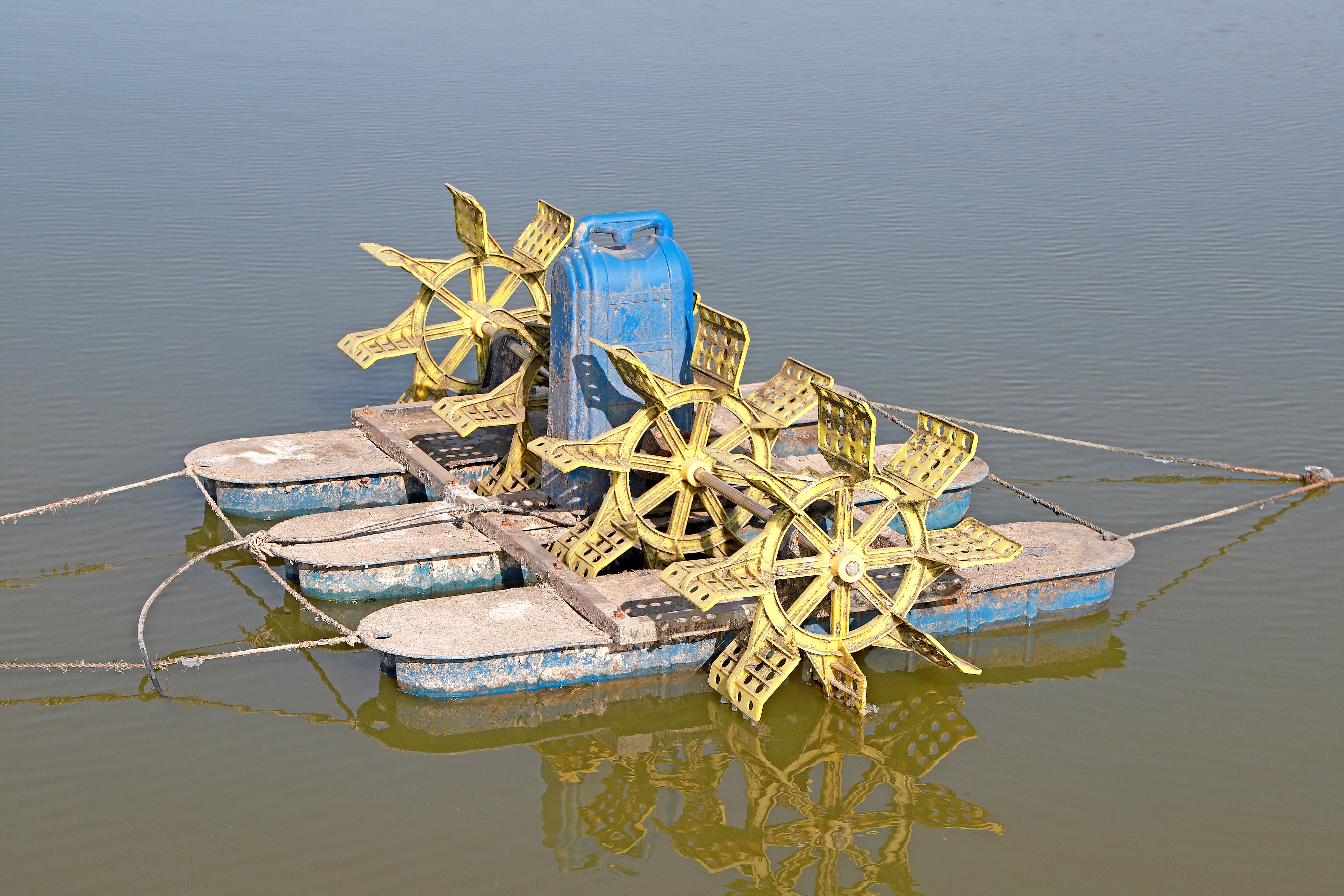 energy efficient pool equipment