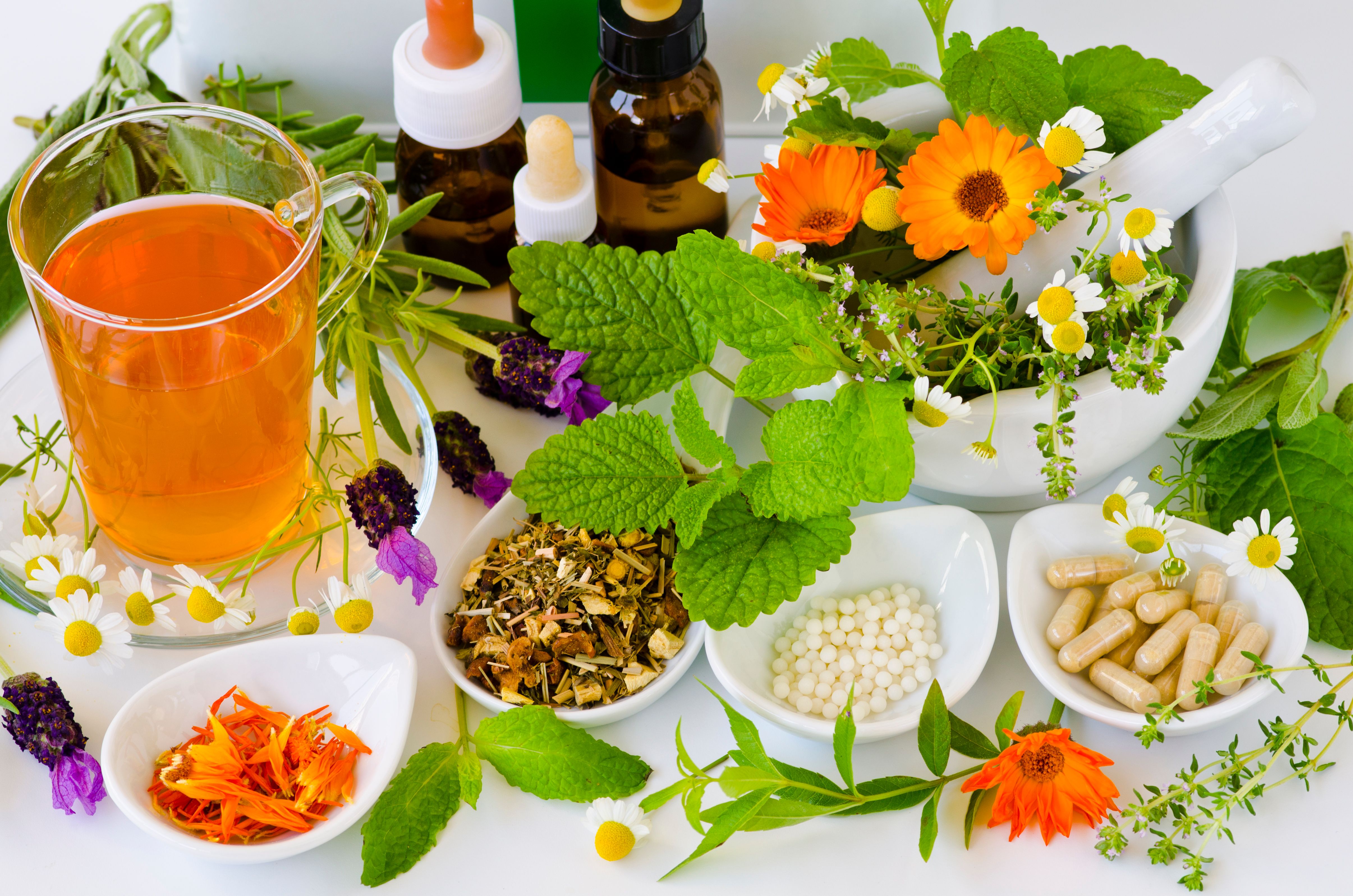 homeopathy herbs