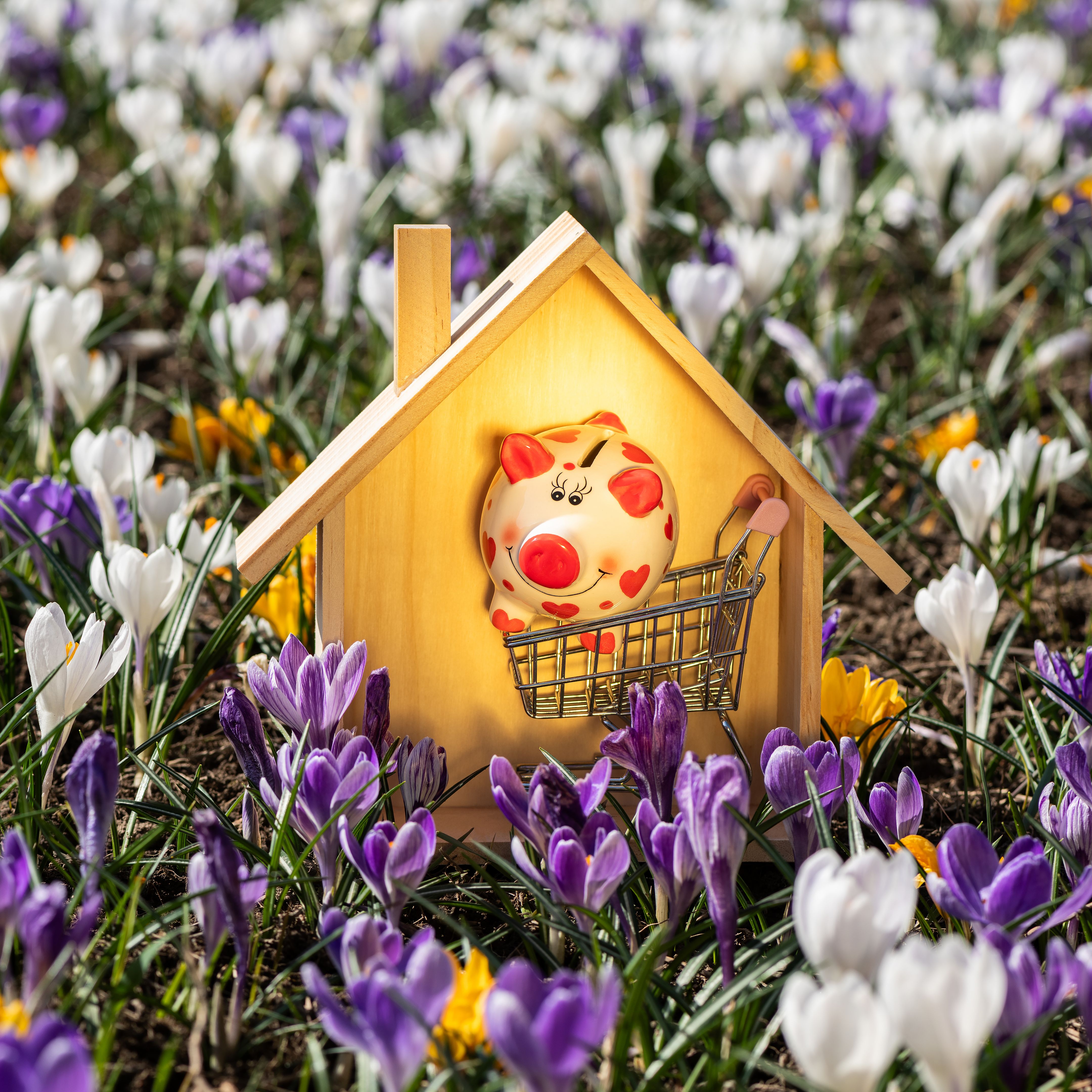 spring homebuying