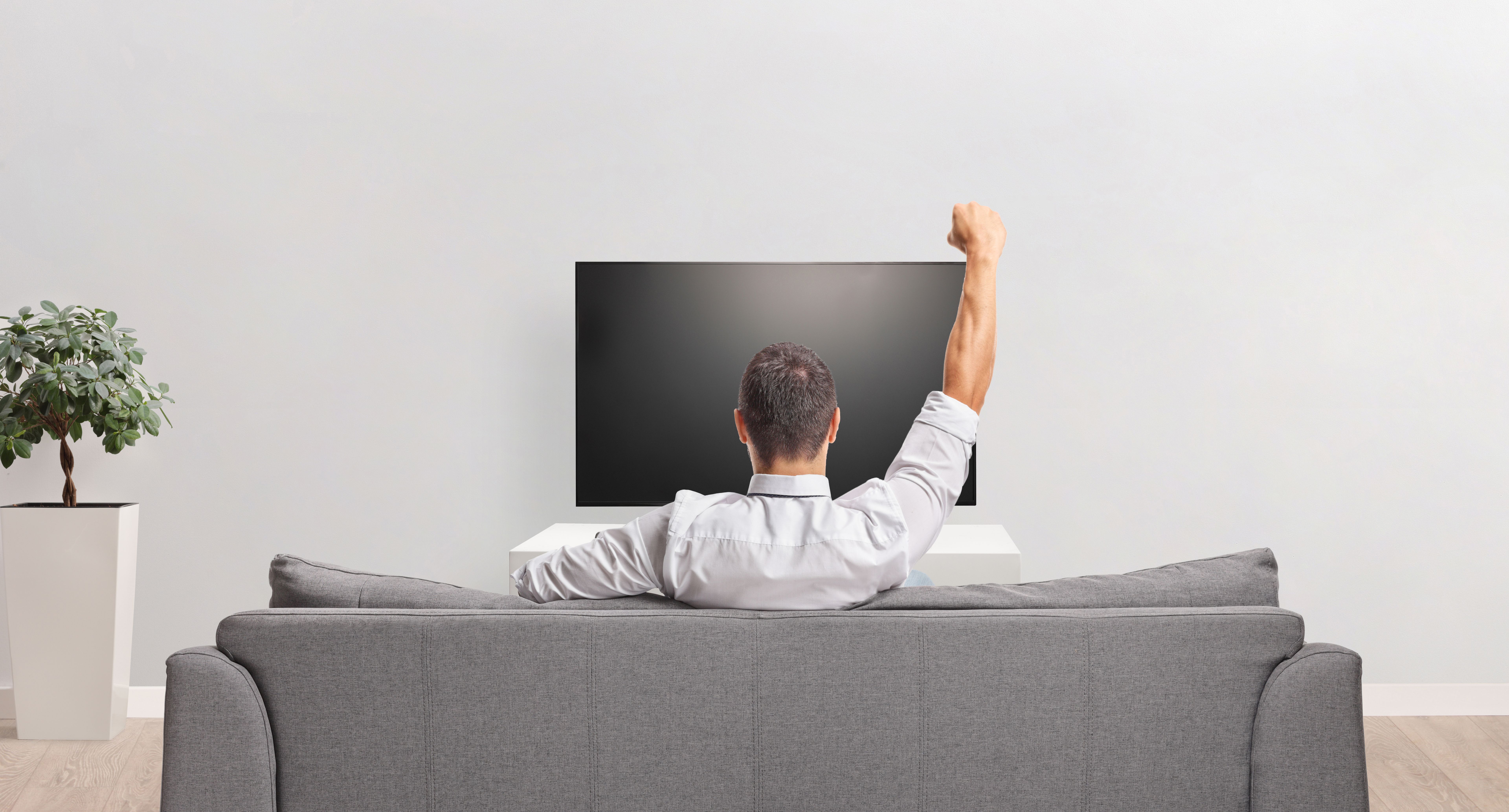 professional tv mounting