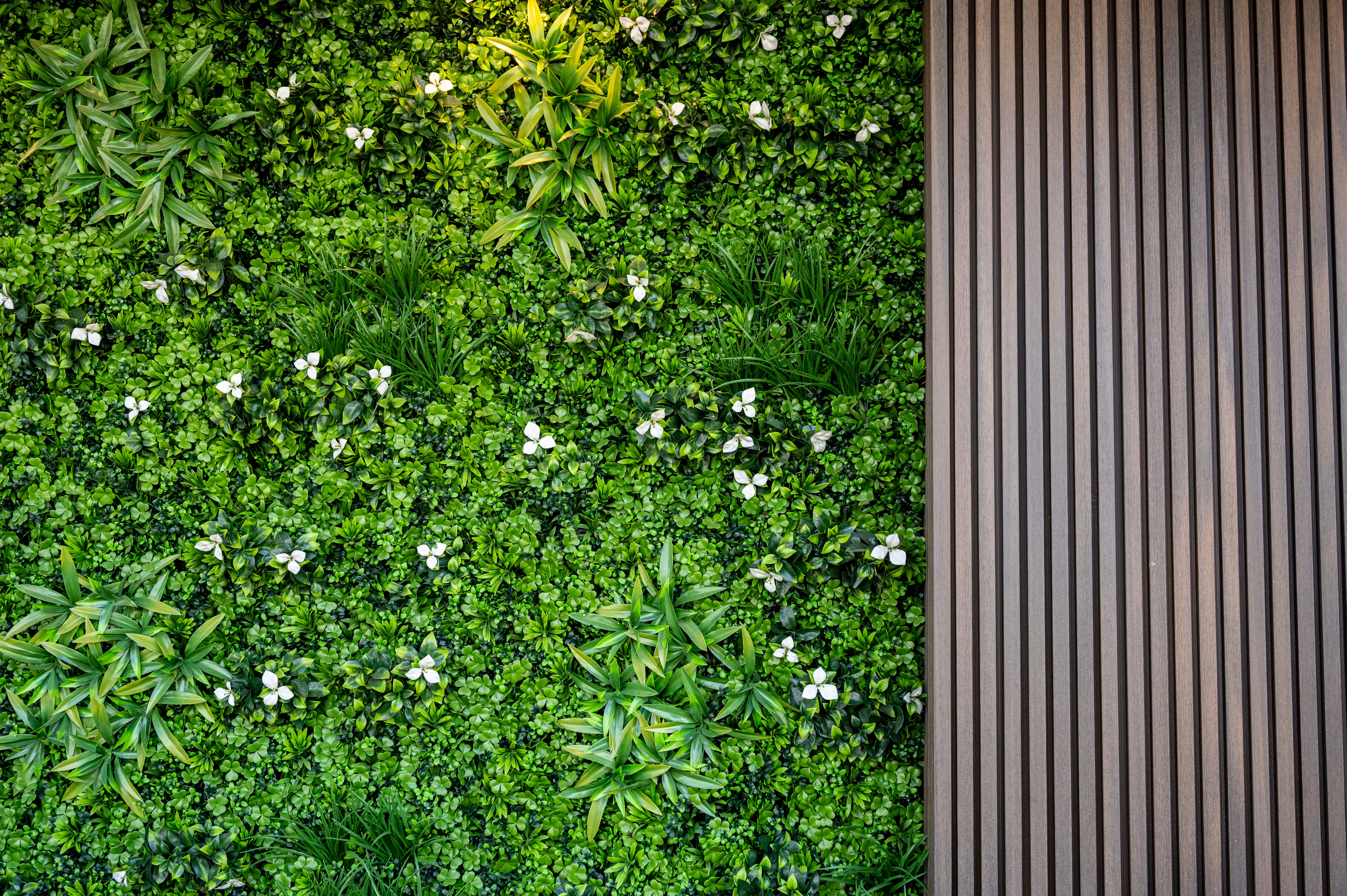 vertical garden