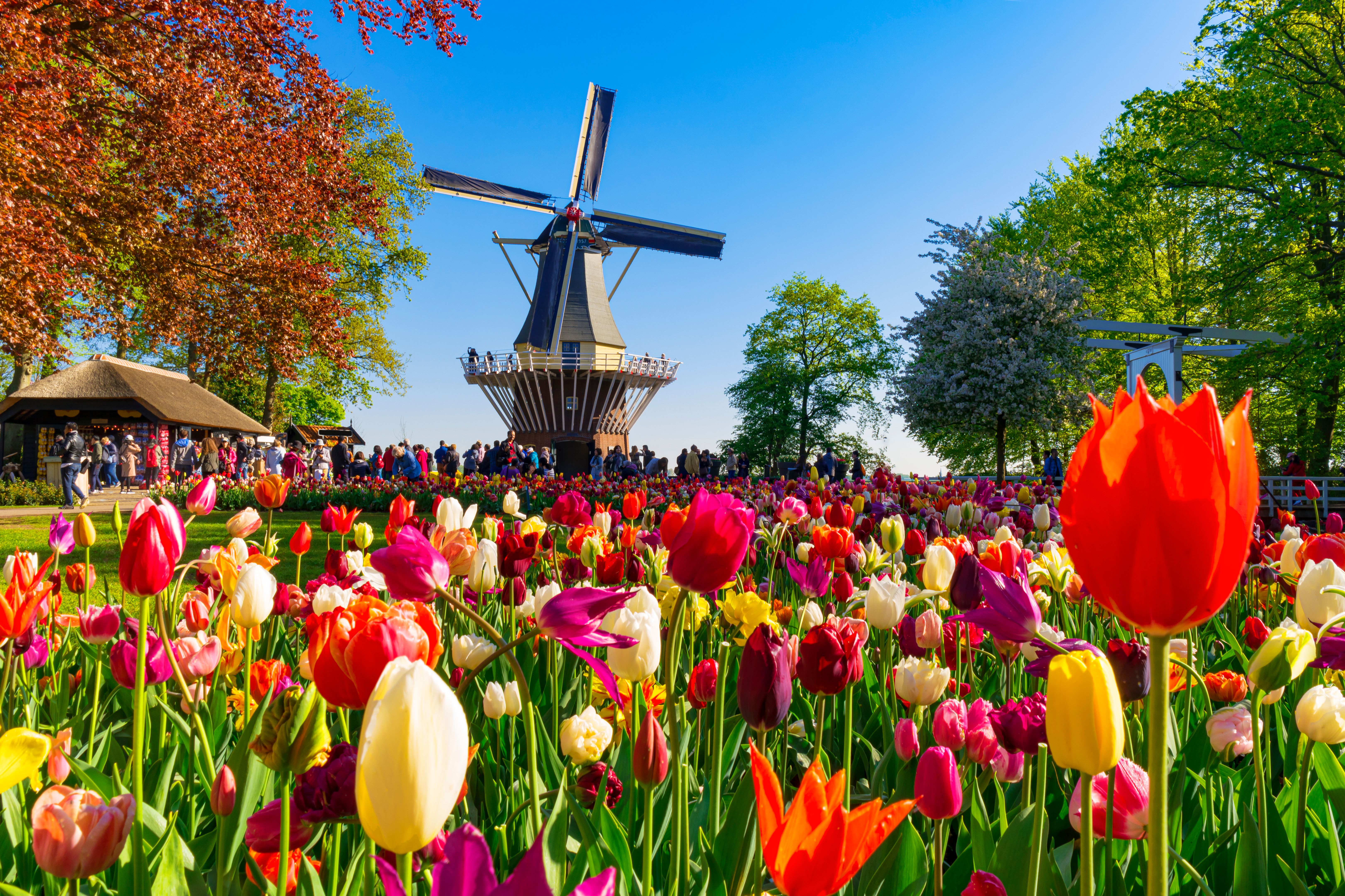 amsterdam spring