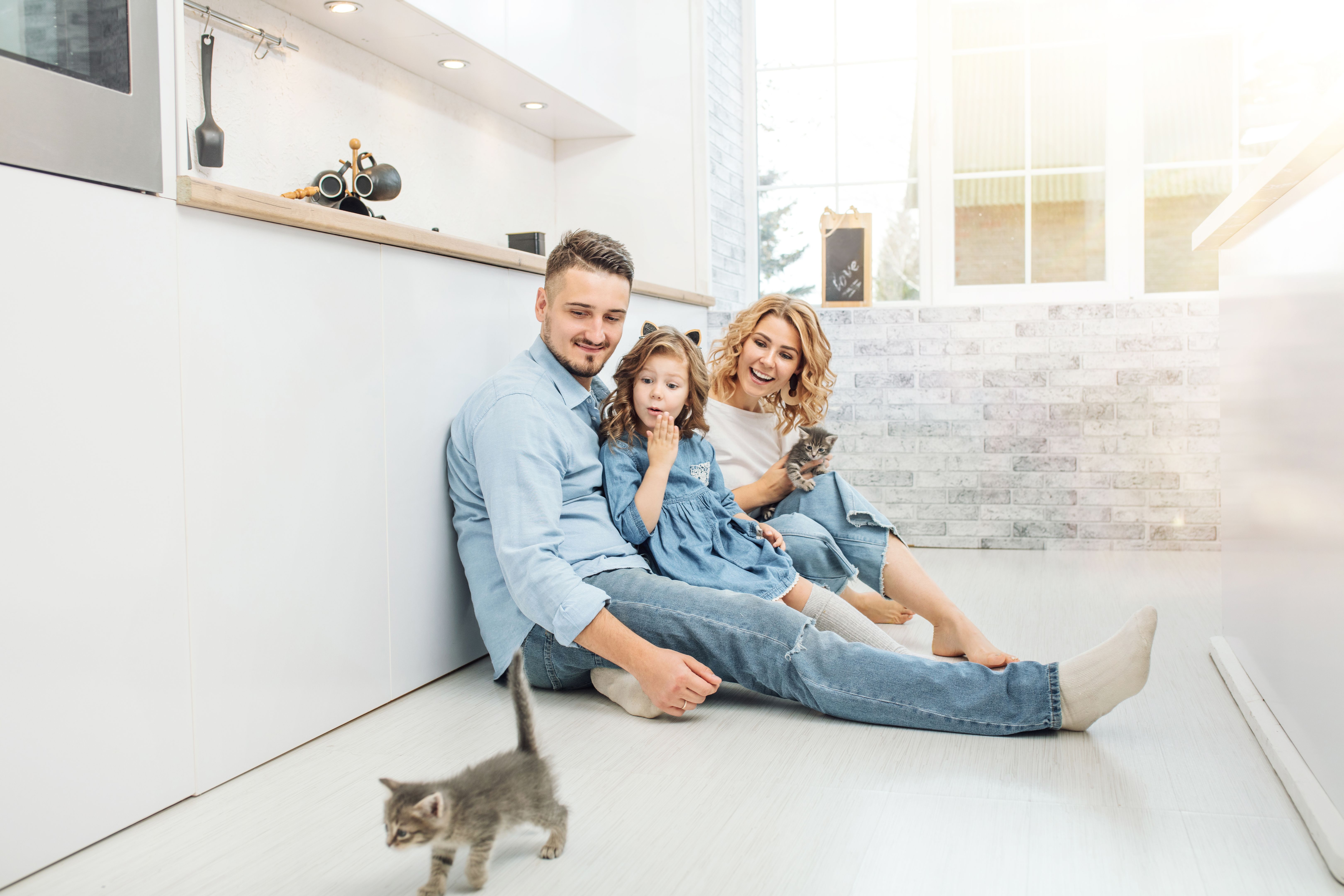 Family father, mother and sweet daughter happy together on kitchen floor with little fluffy kittens in the kitchen in a bright home interior 