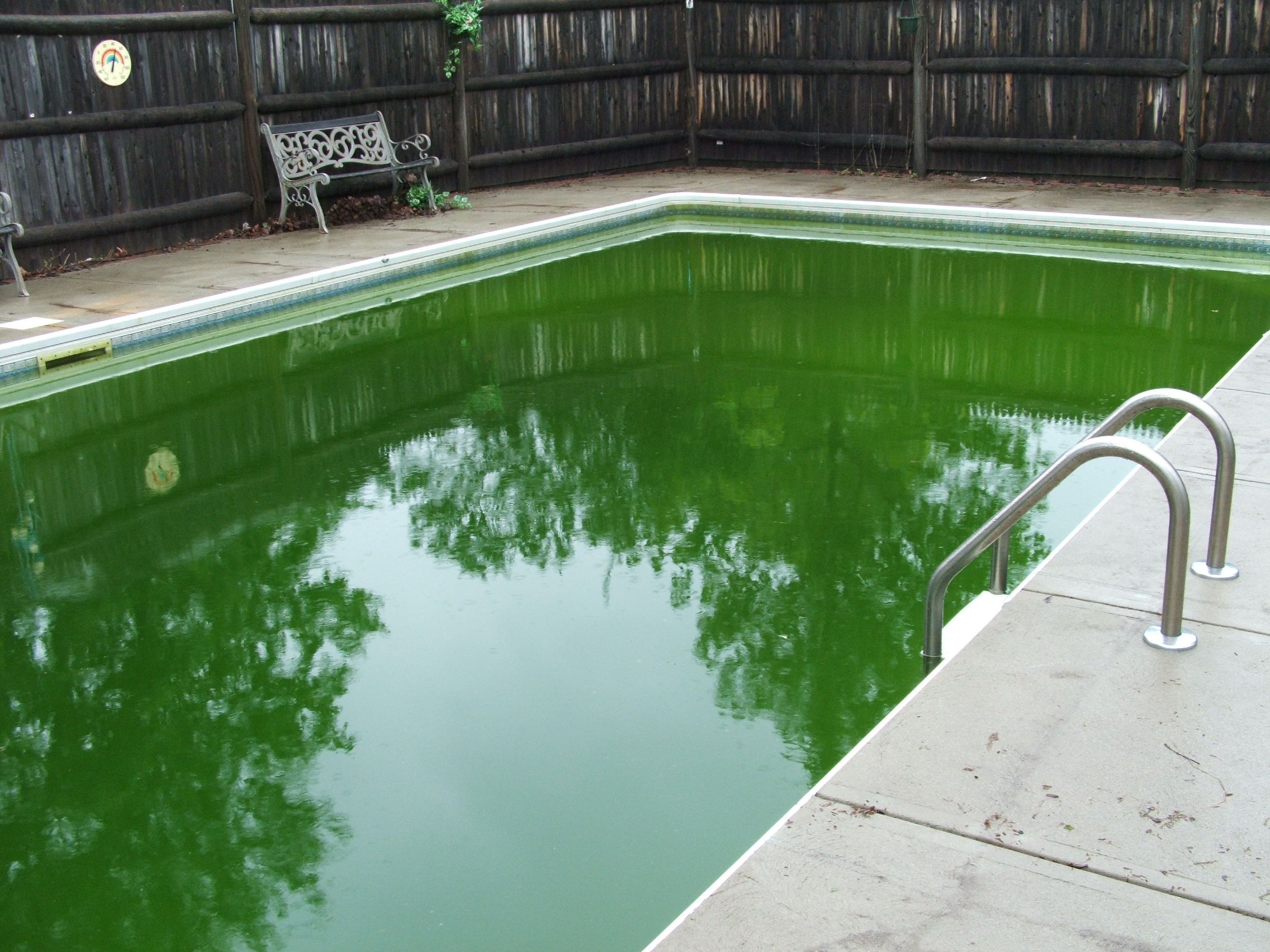 green pool