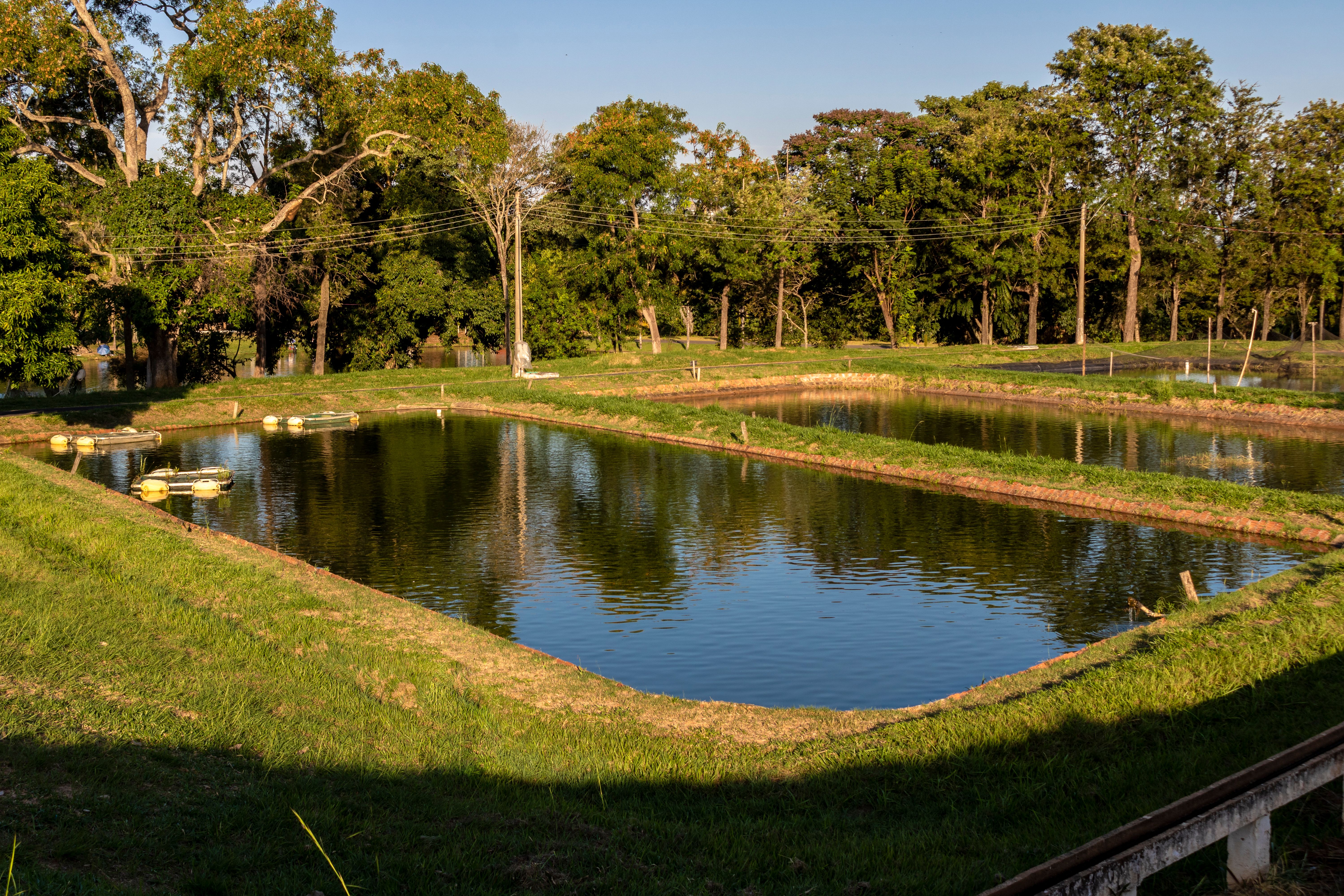 Tanks used for raising tilapia on a fish farm