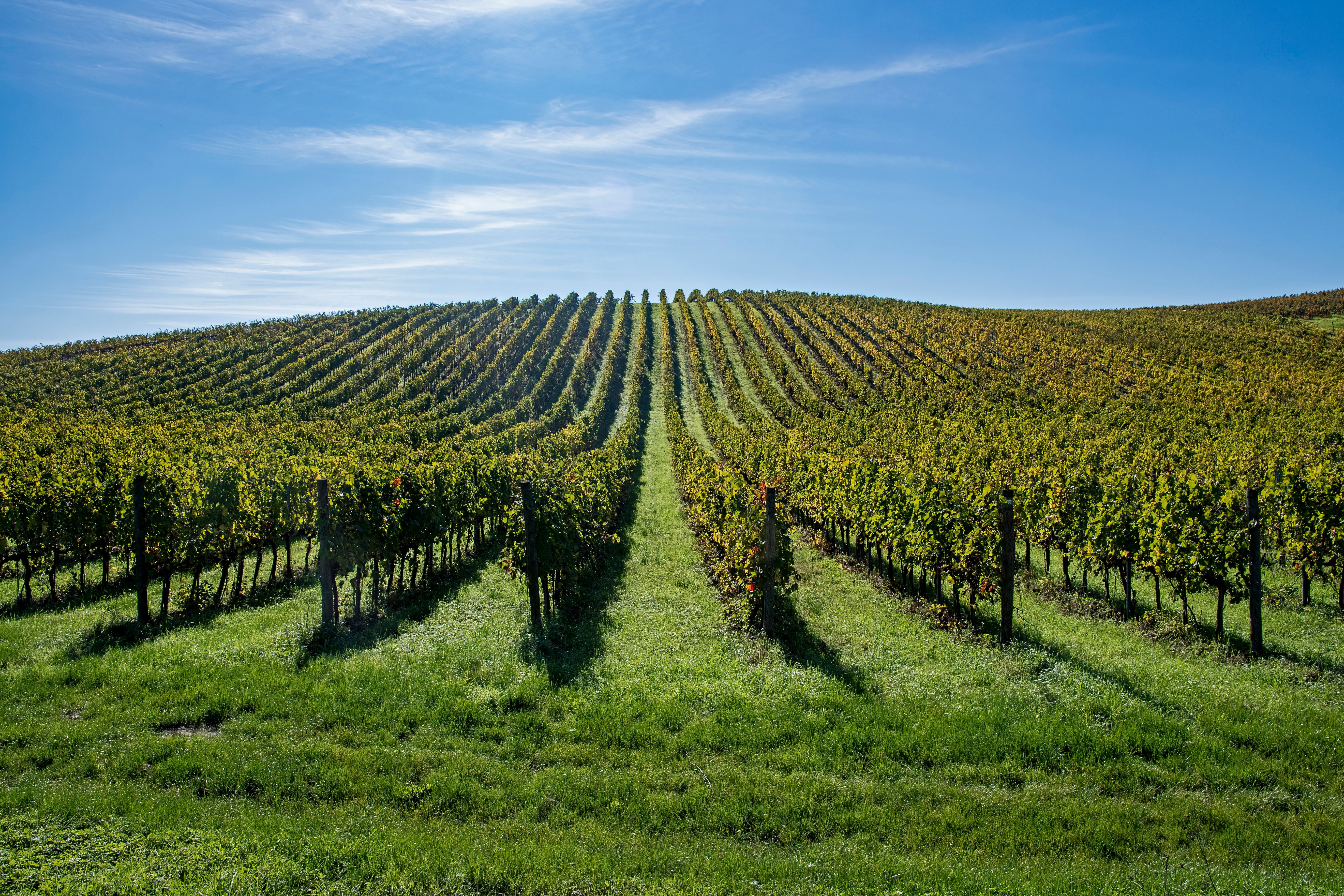 economic growth umbria