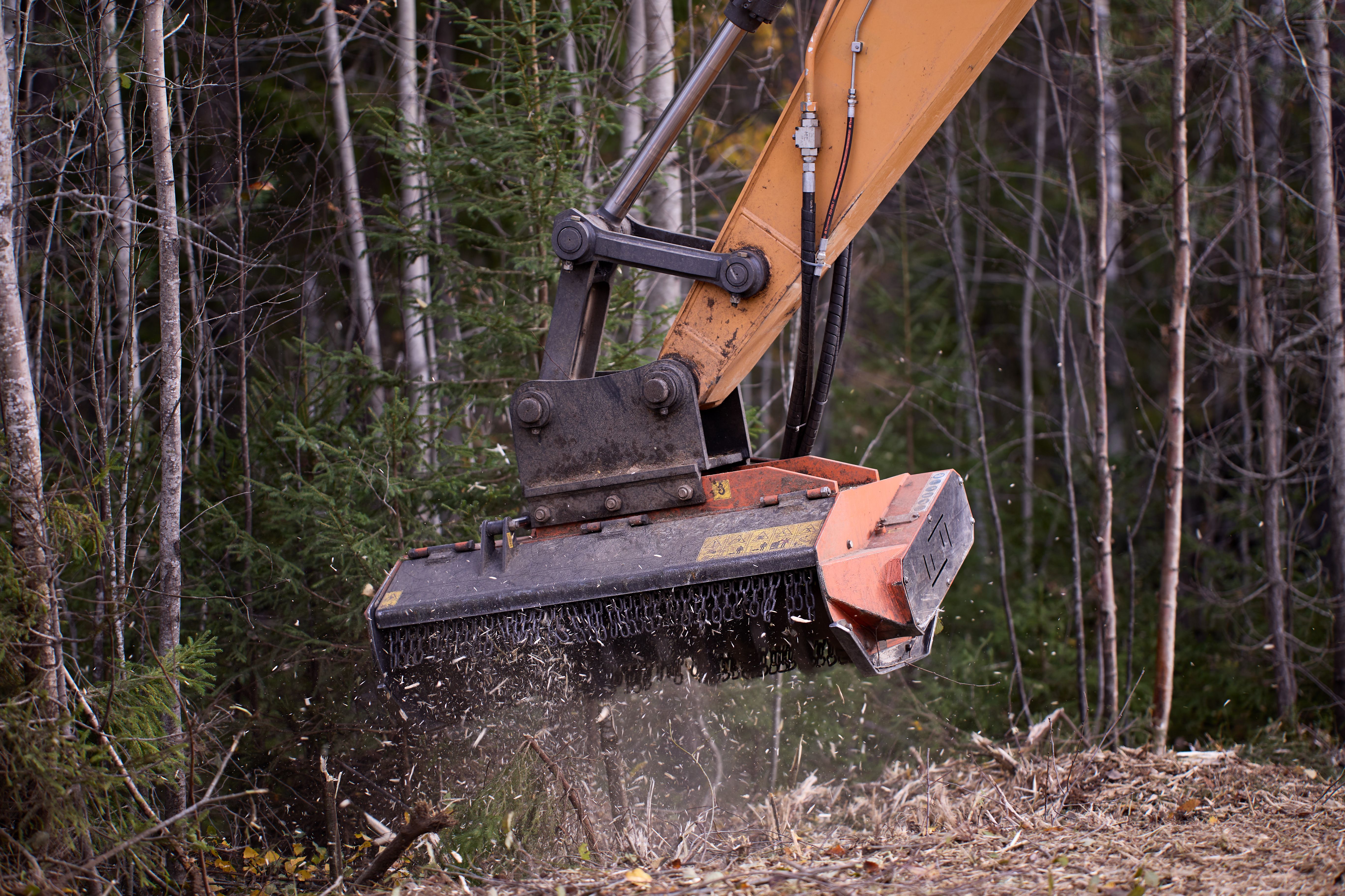 forestry mulching