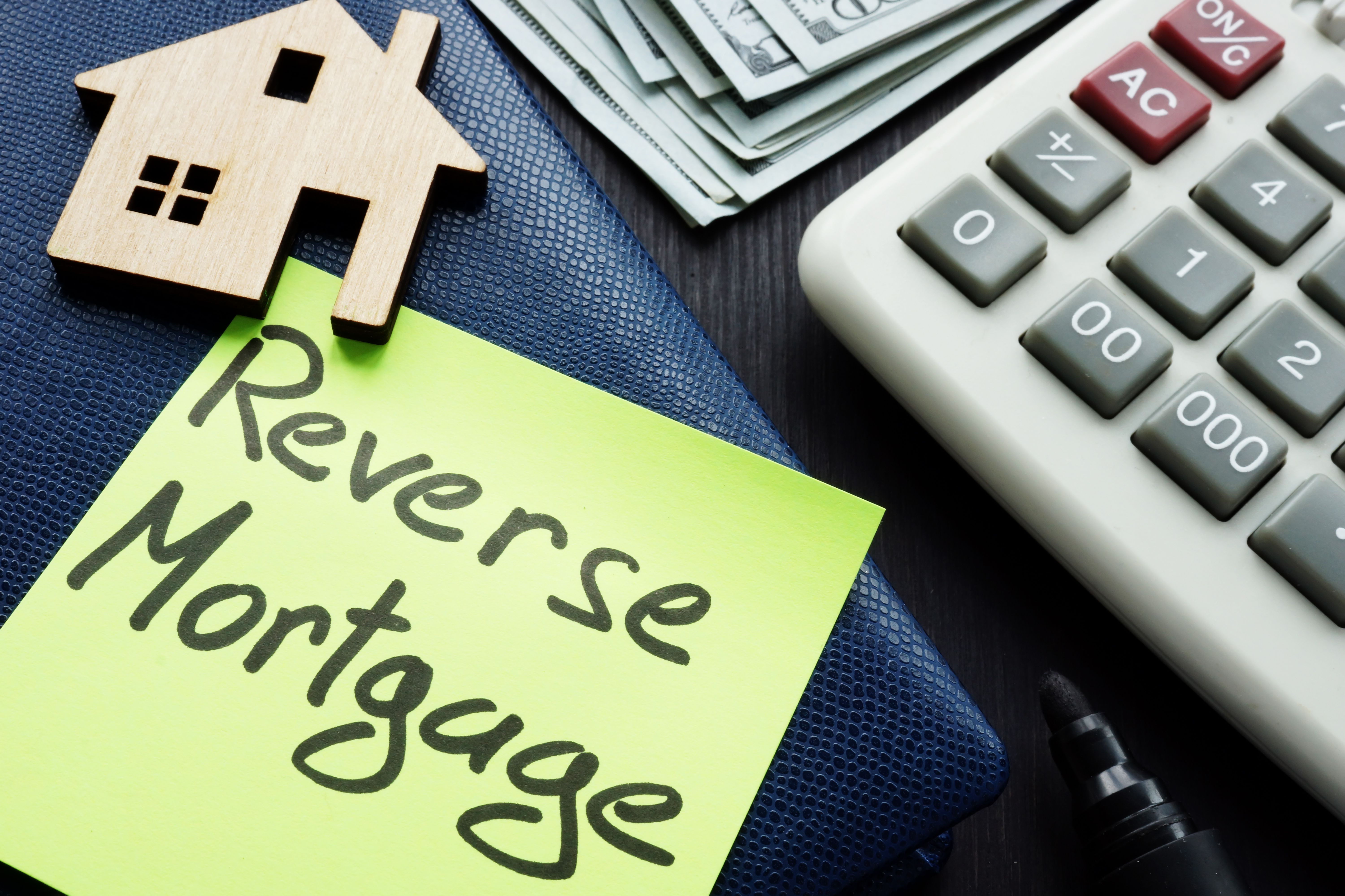 reverse mortgage concept