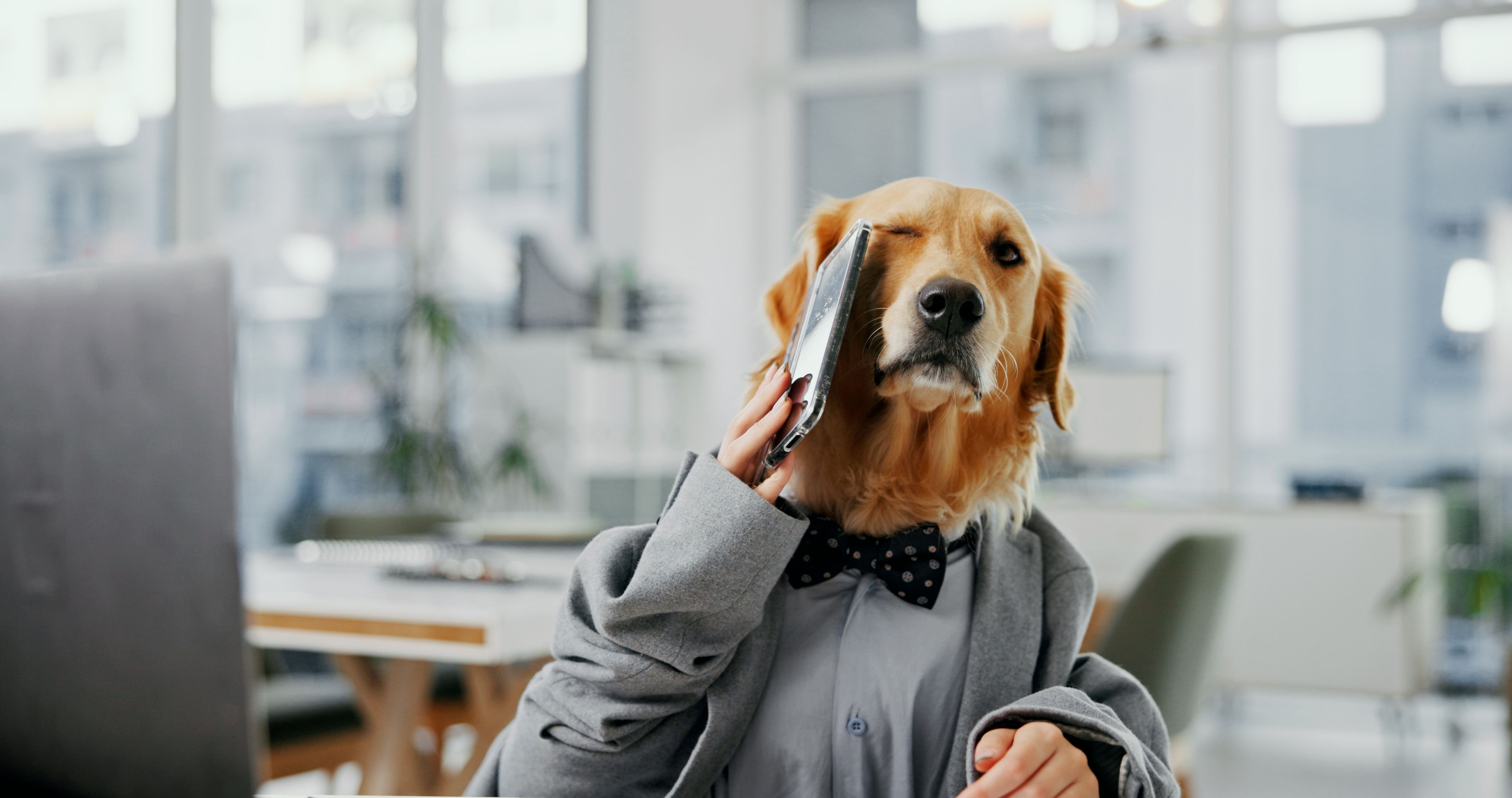 health insurance broker