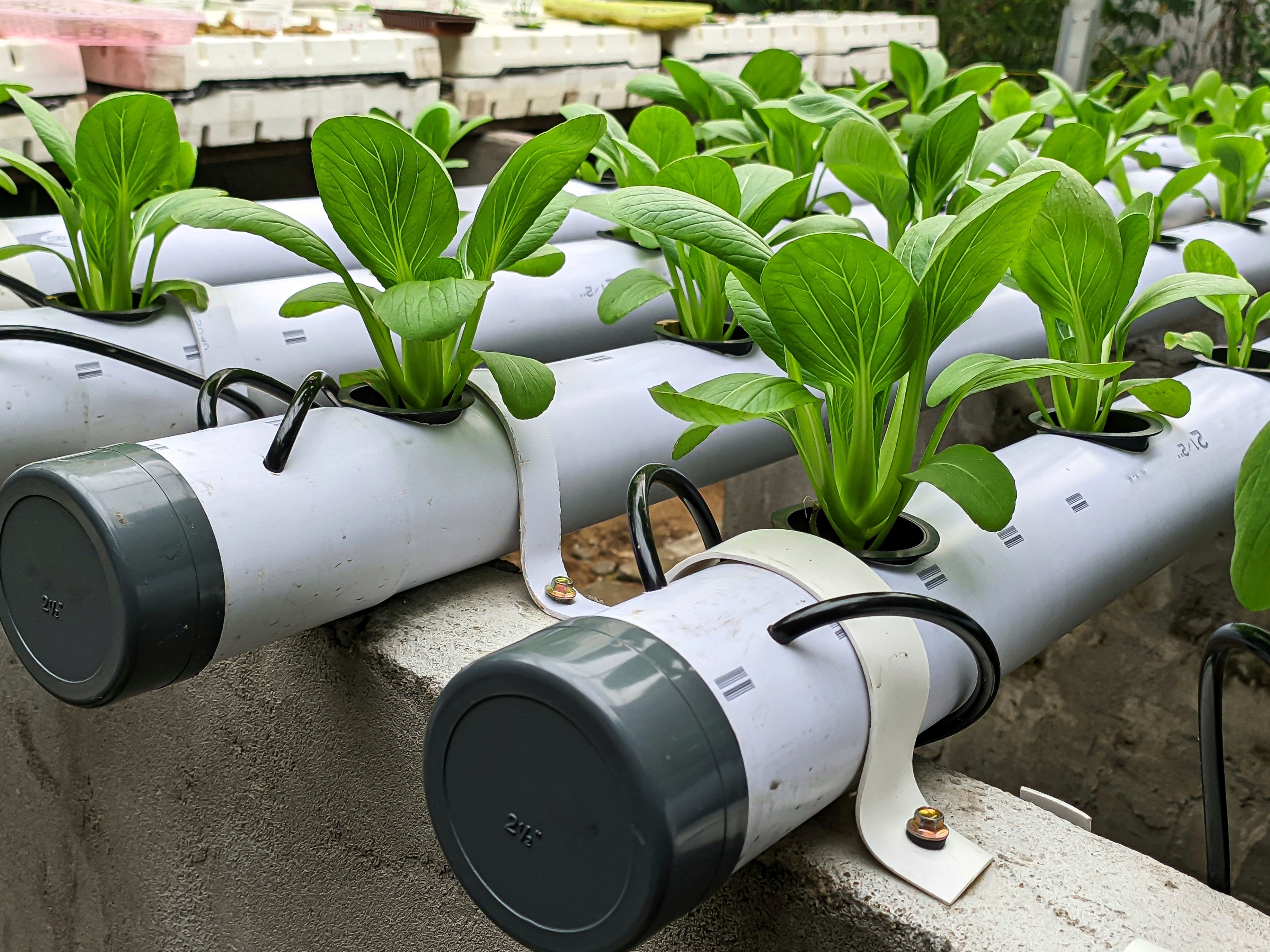 hydroponics system