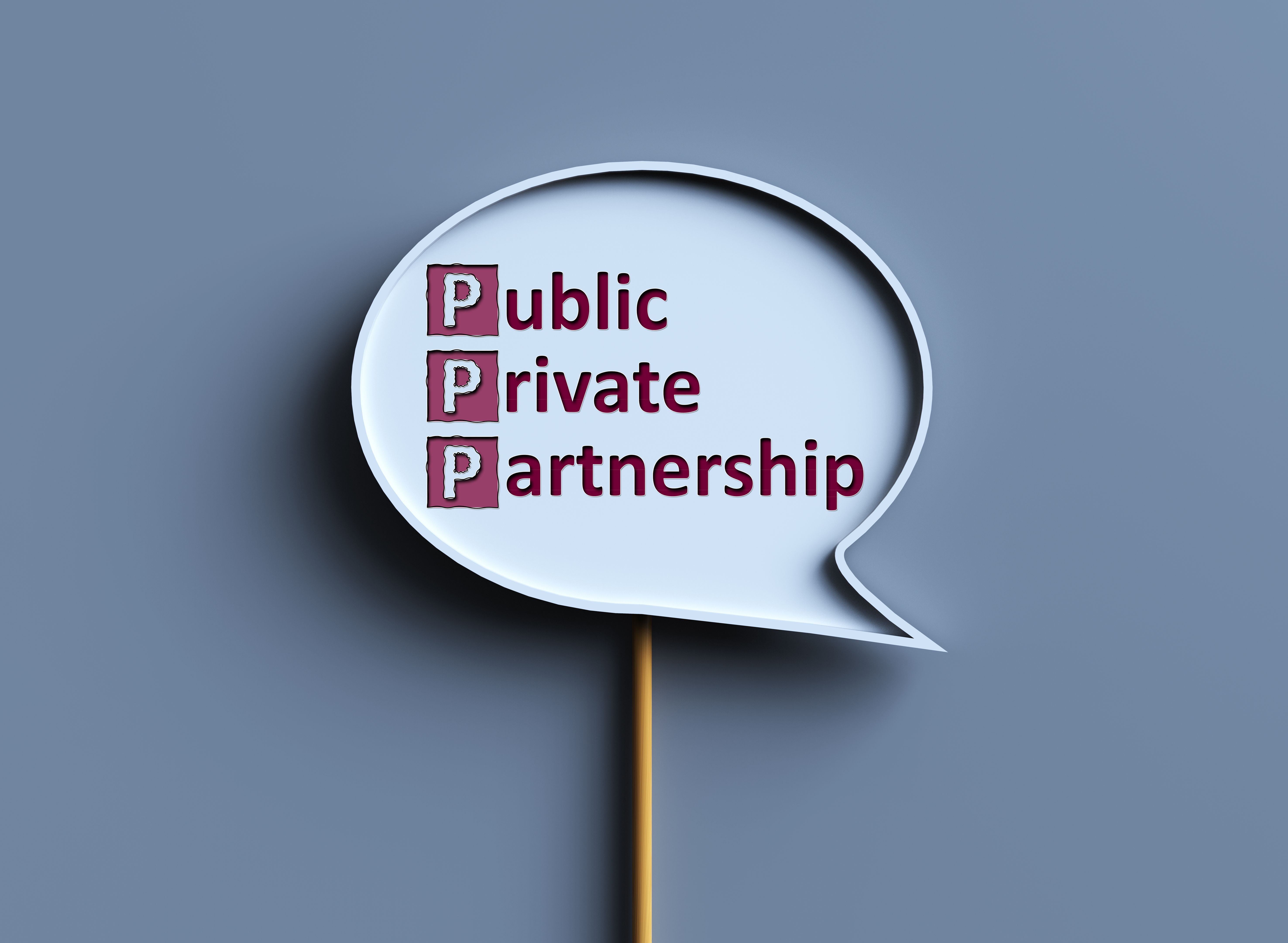 financiamiento público privado