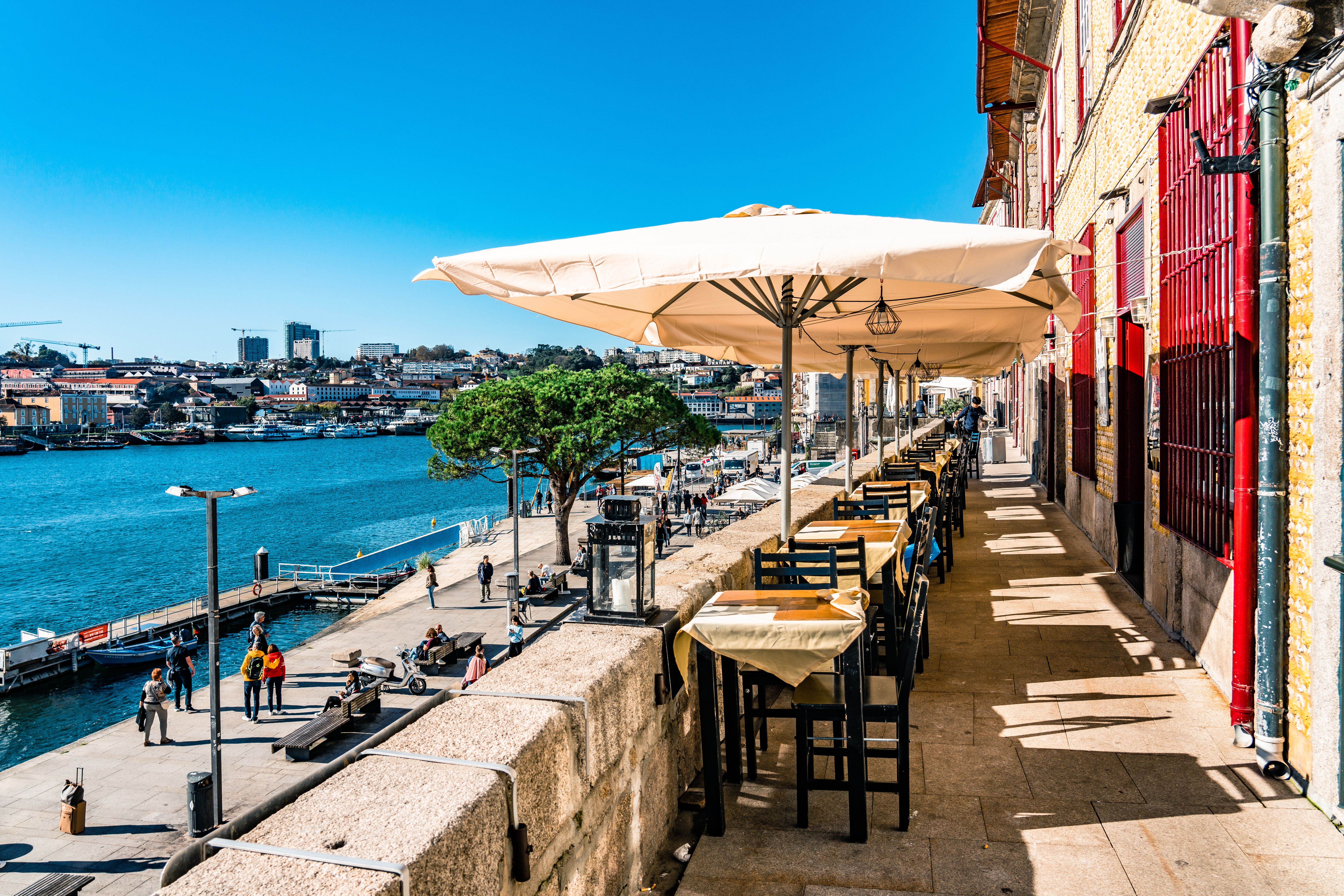 porto food tour