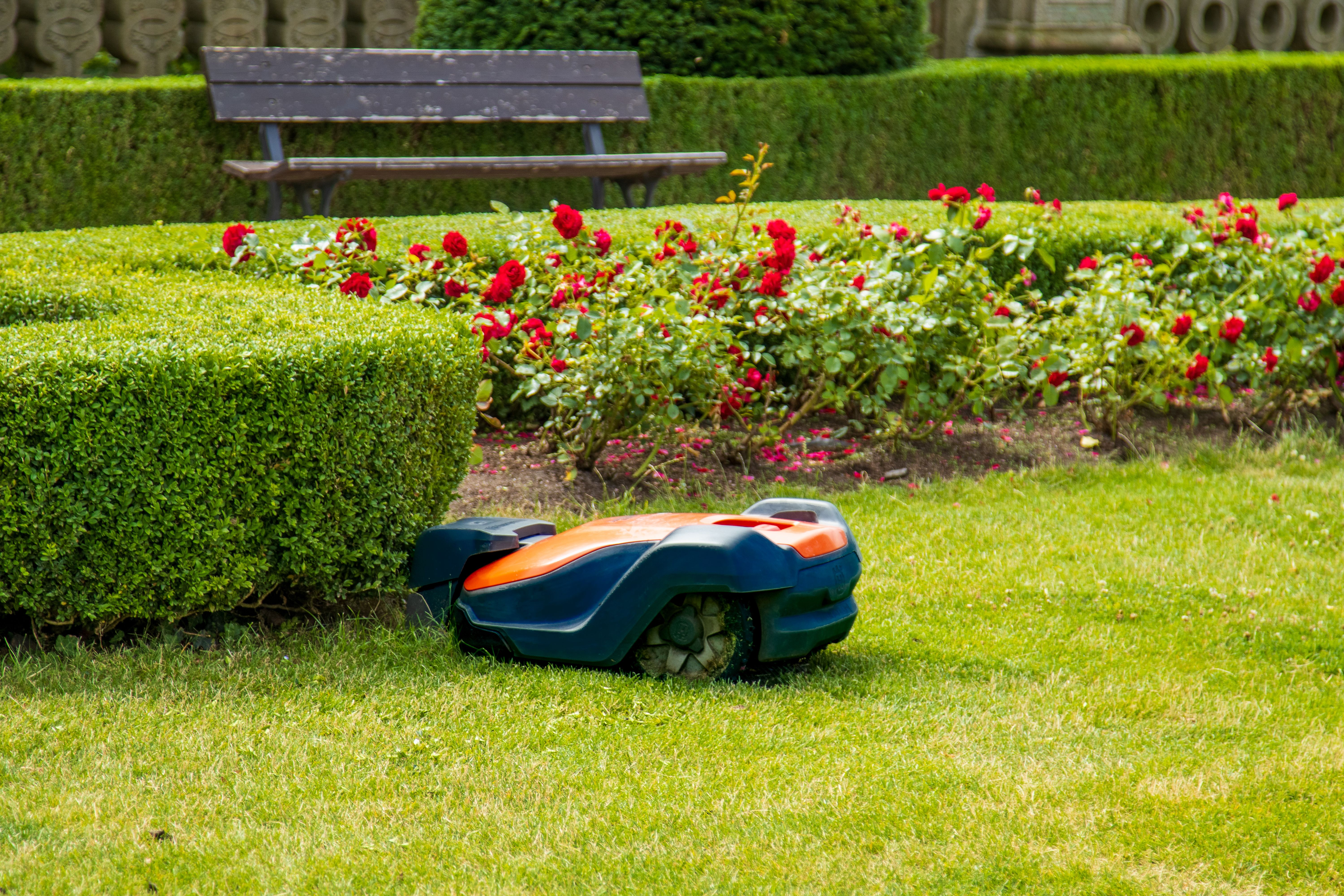 lawn care innovation