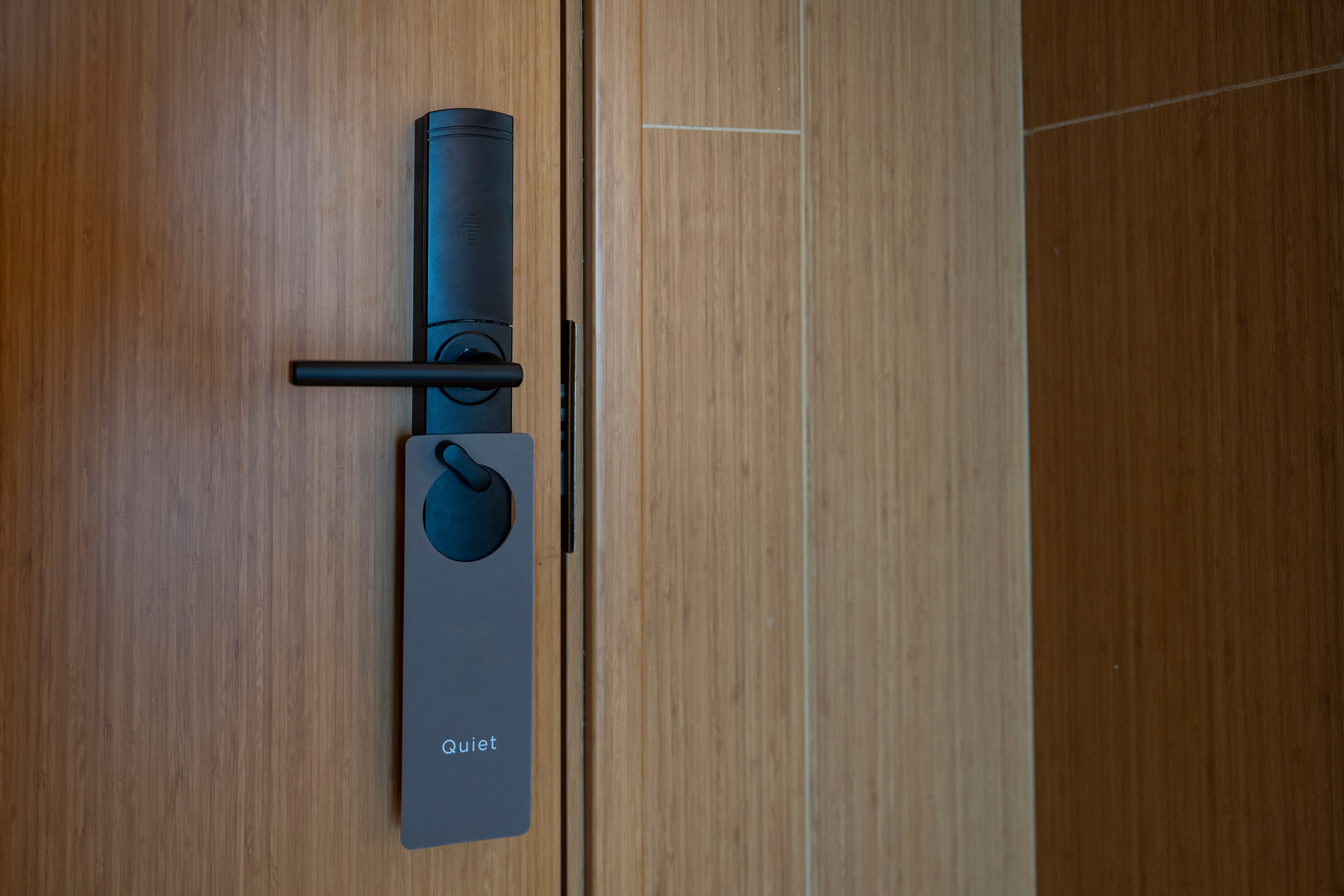 modern door handle