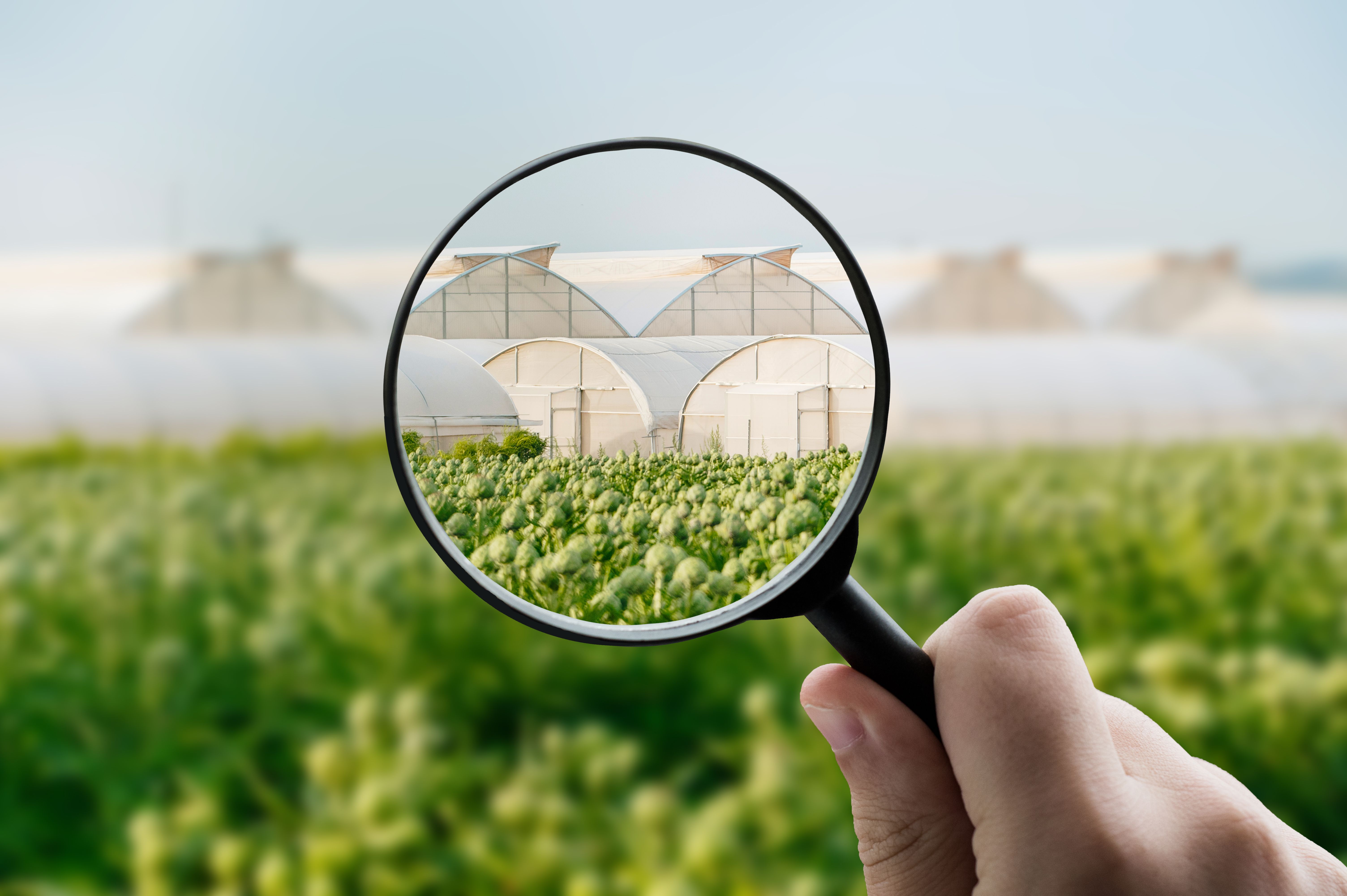 Focusing on agriculture greenhouses Focusing on agriculture greenhouses