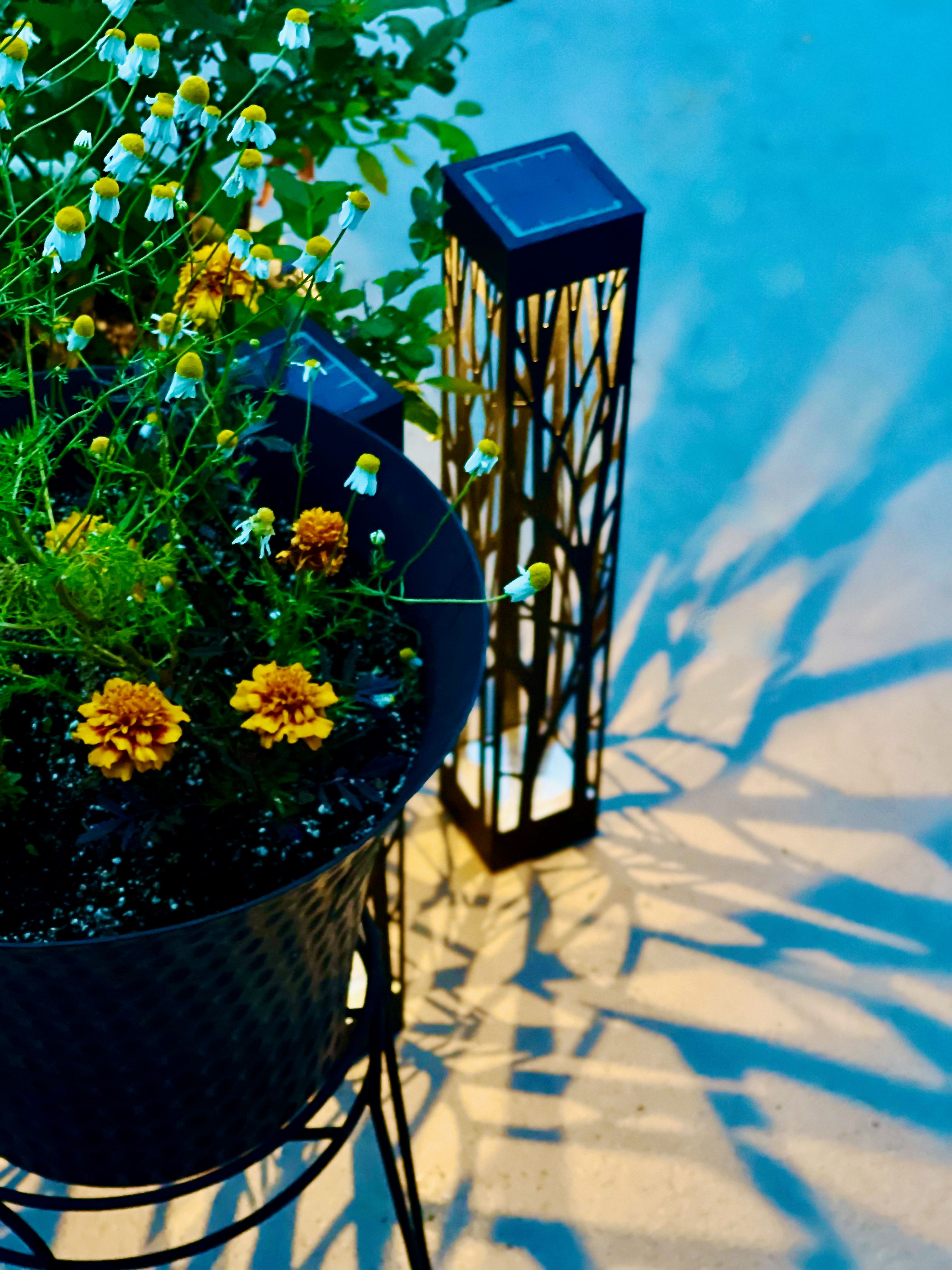 home renovation ideas