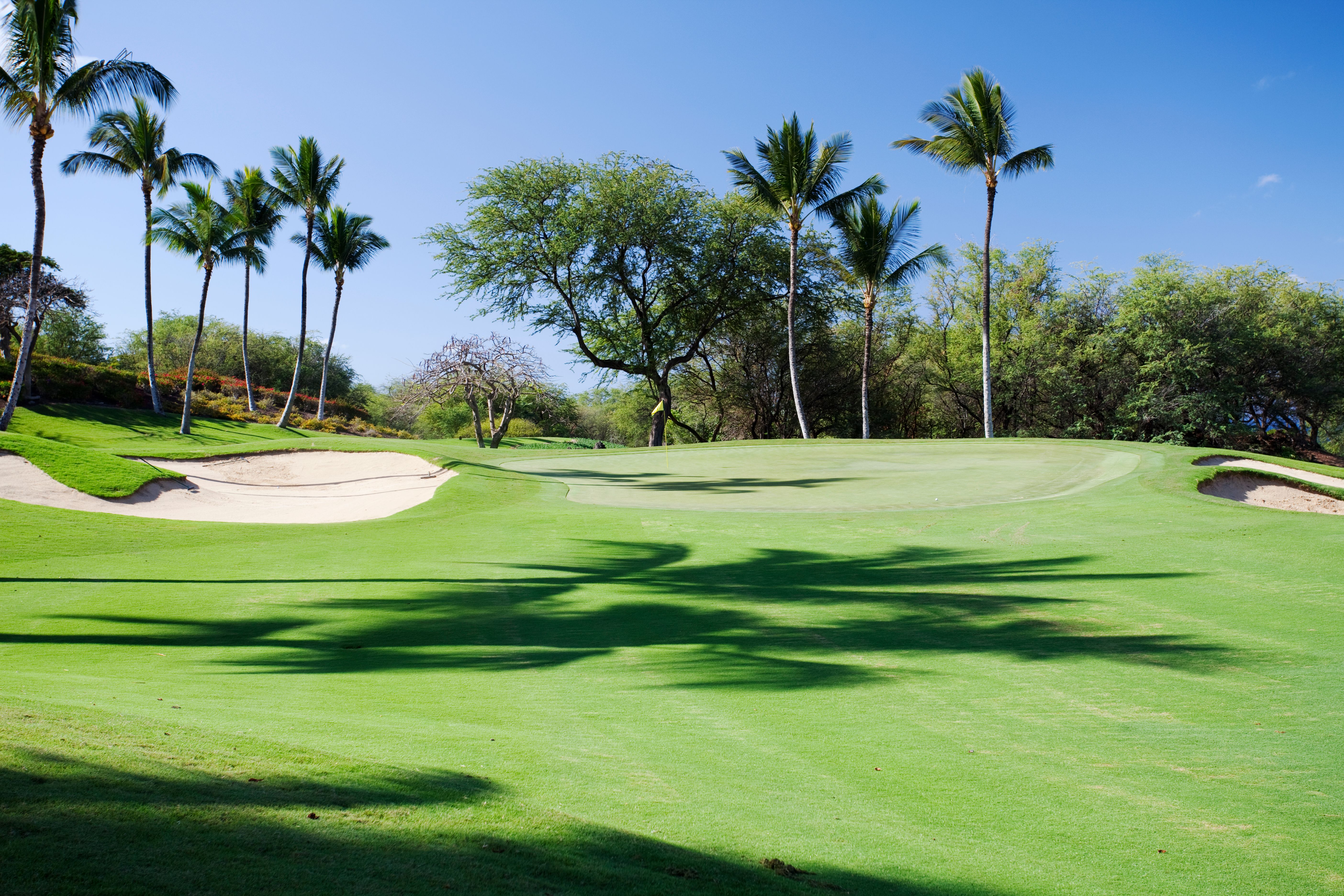 maui golf course