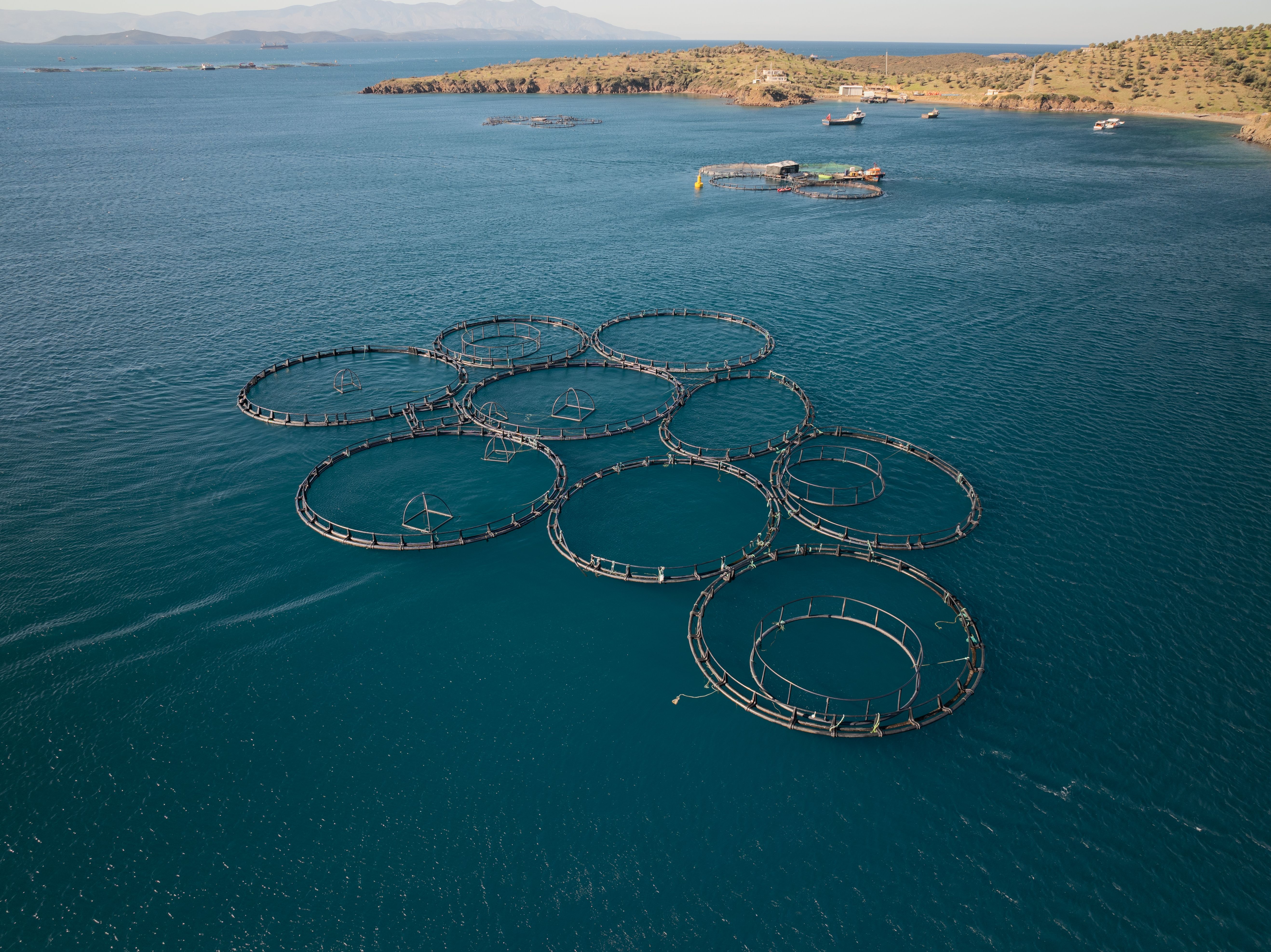 fish farming