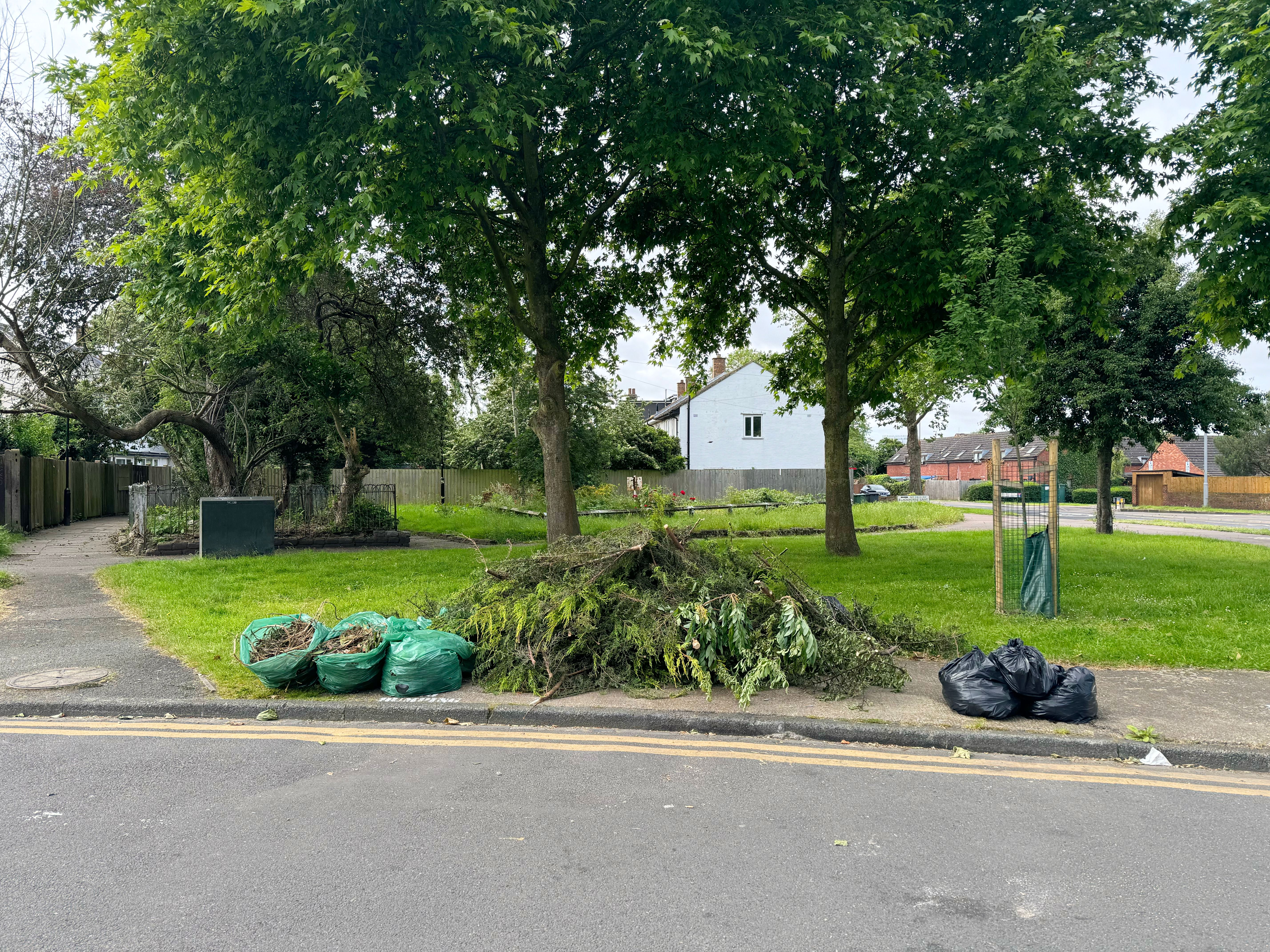 yard waste management