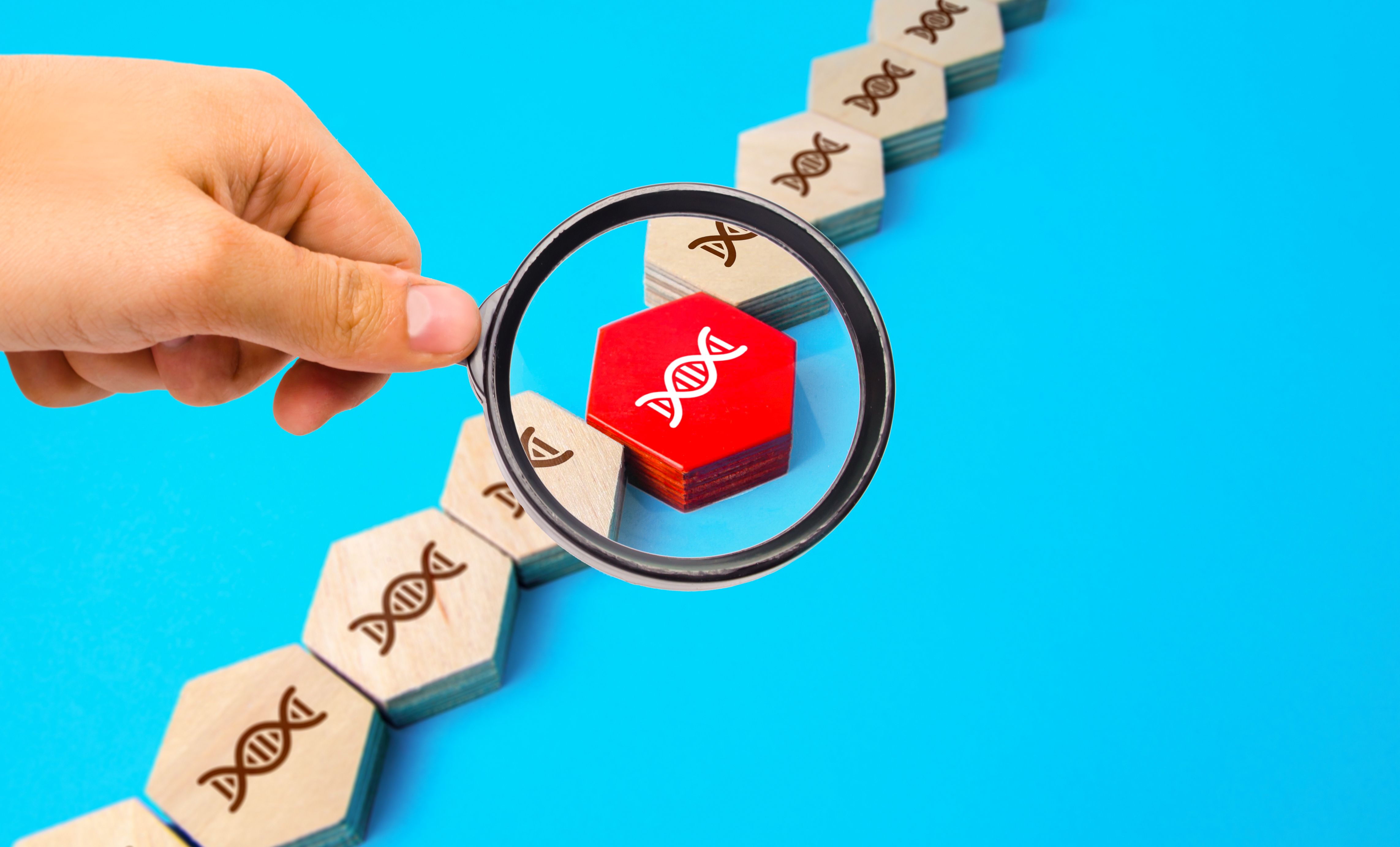 family history cancer