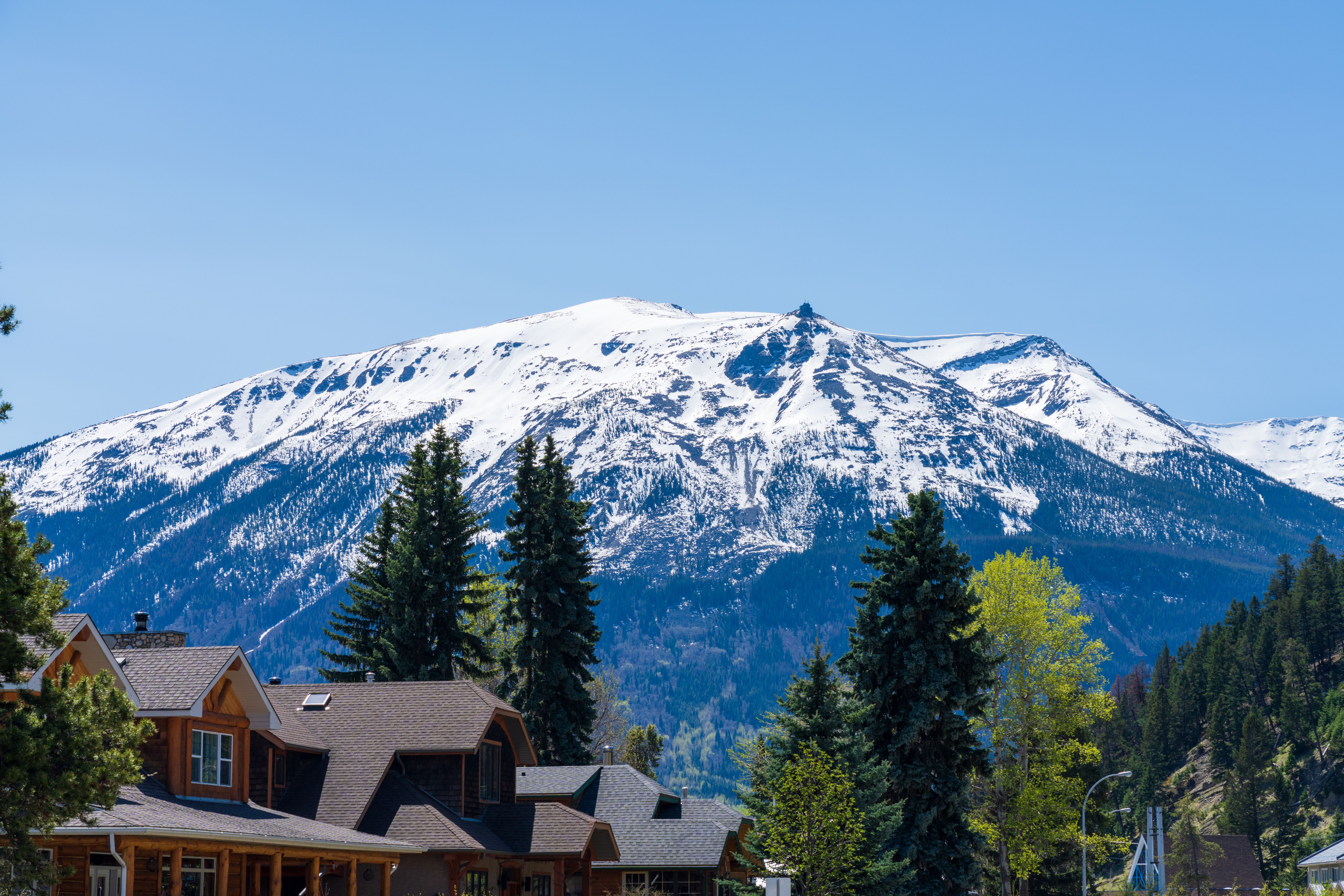 white mountains community