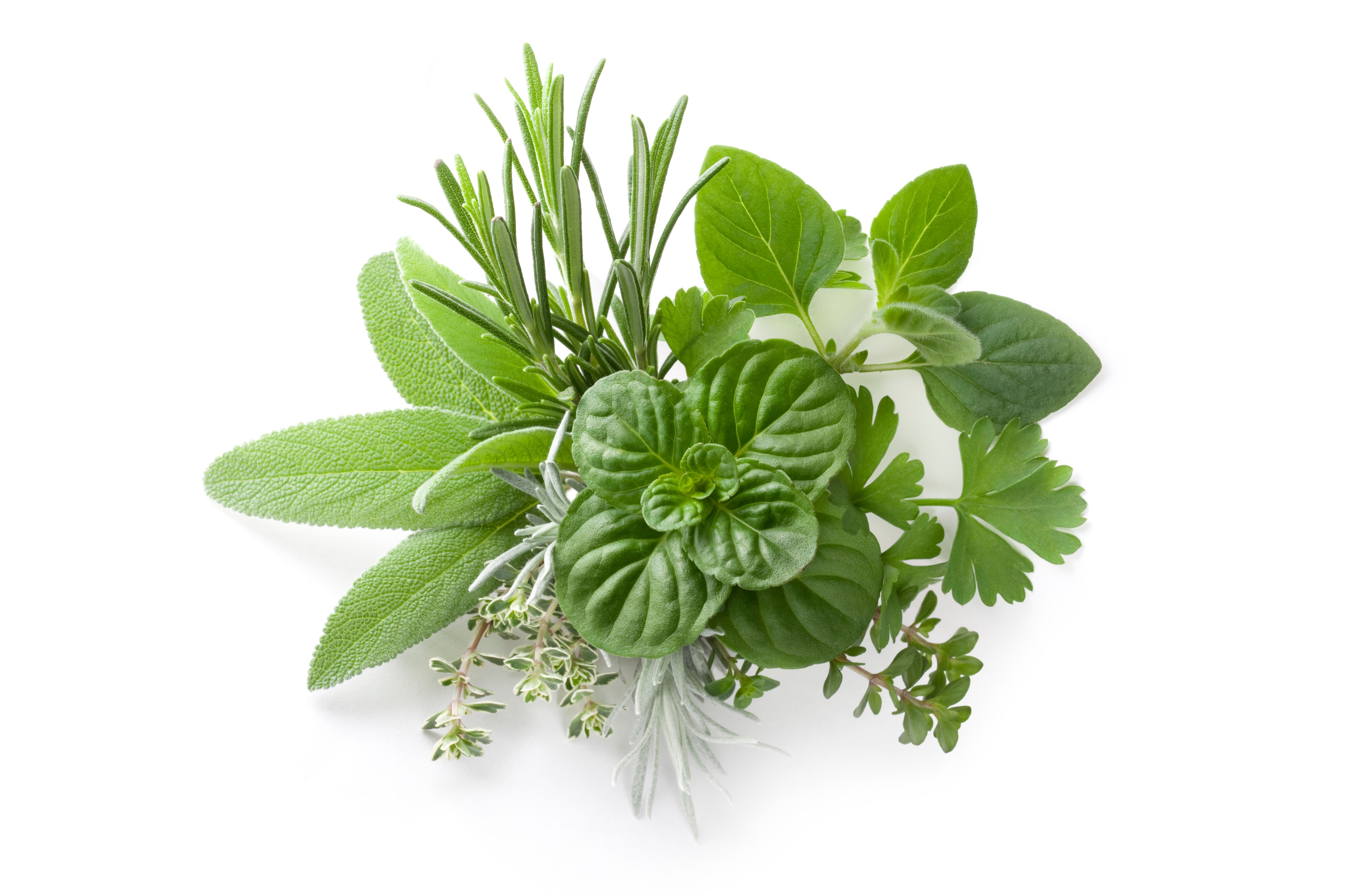 fresh herbs