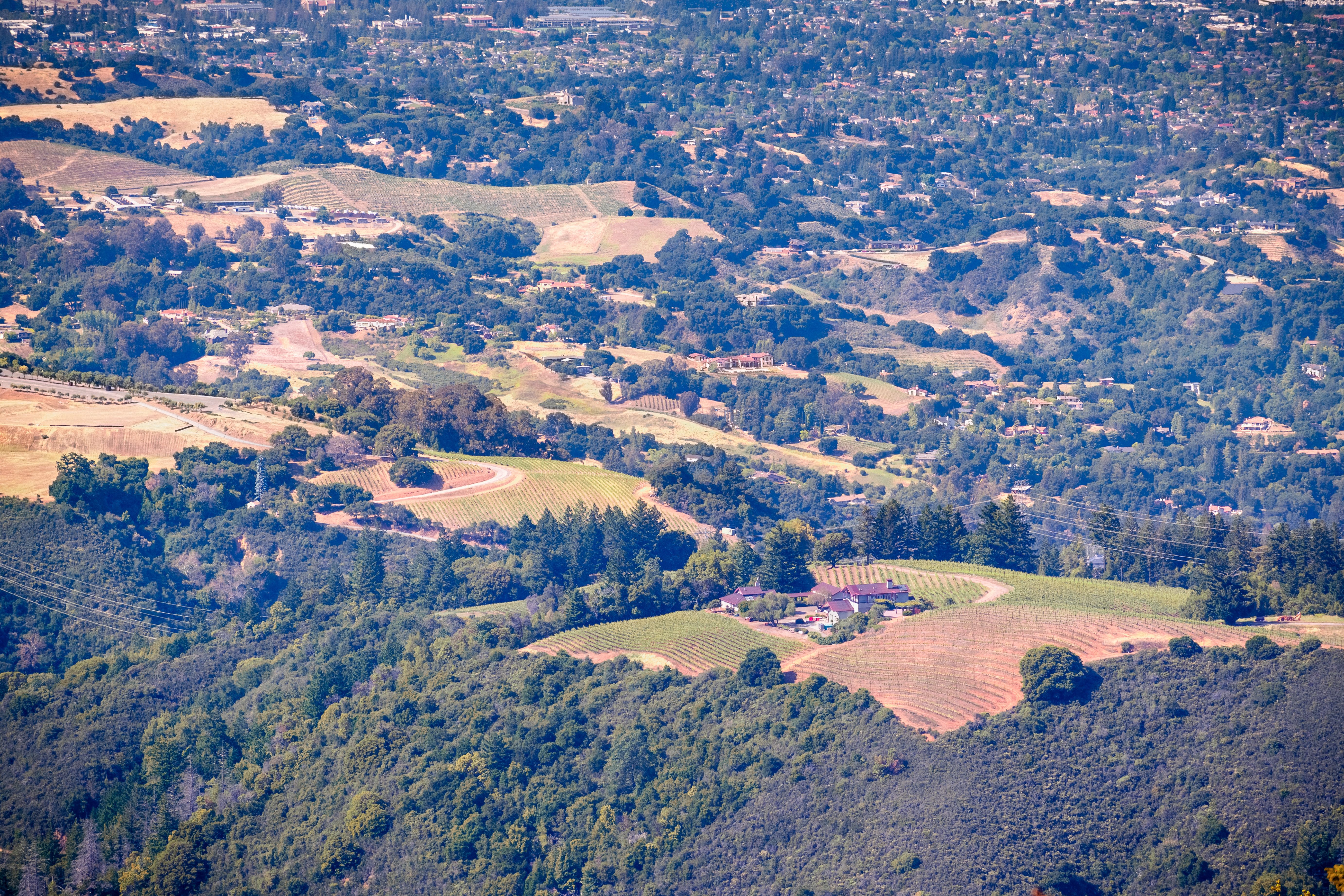 saratoga winery