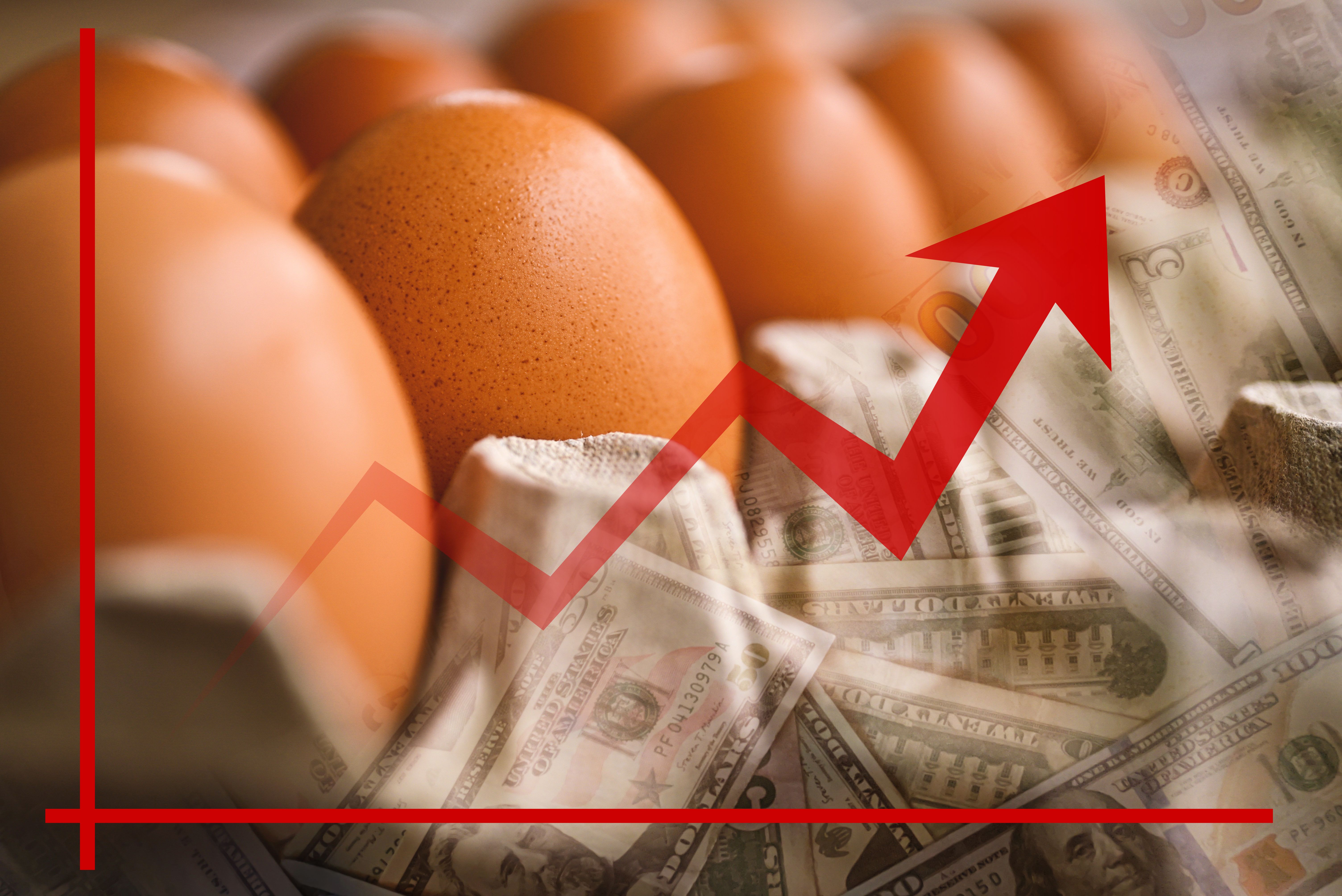 consumer trends food