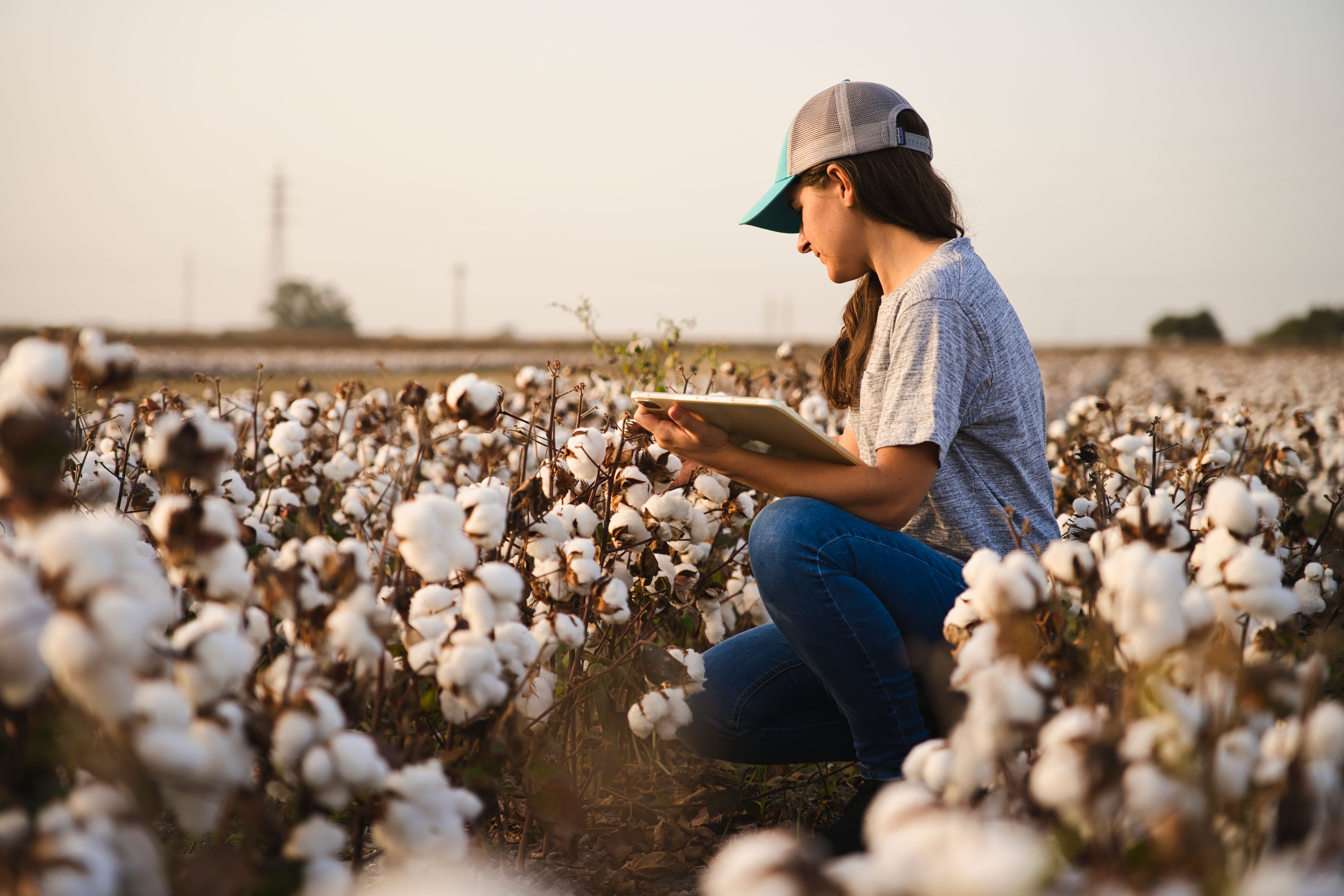 farmer inspecting plants