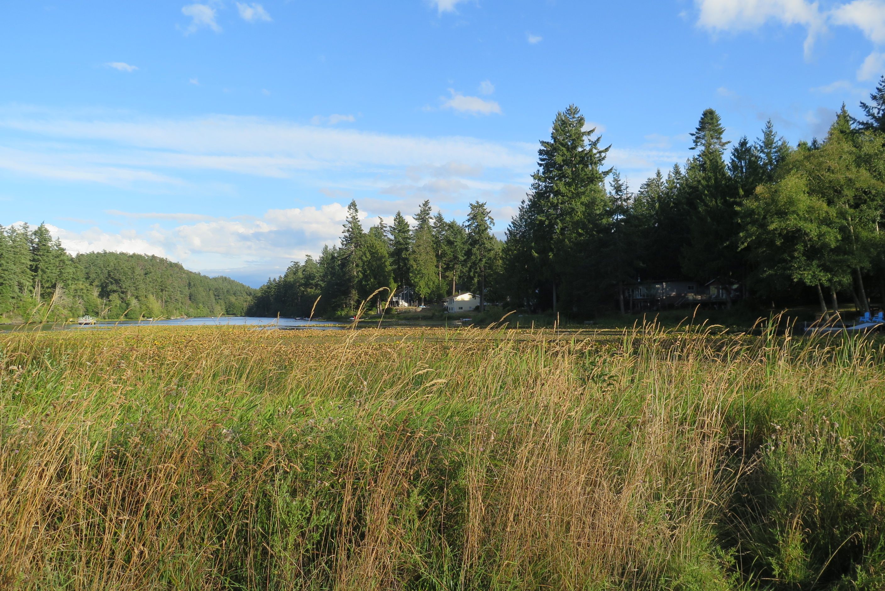 photography composition