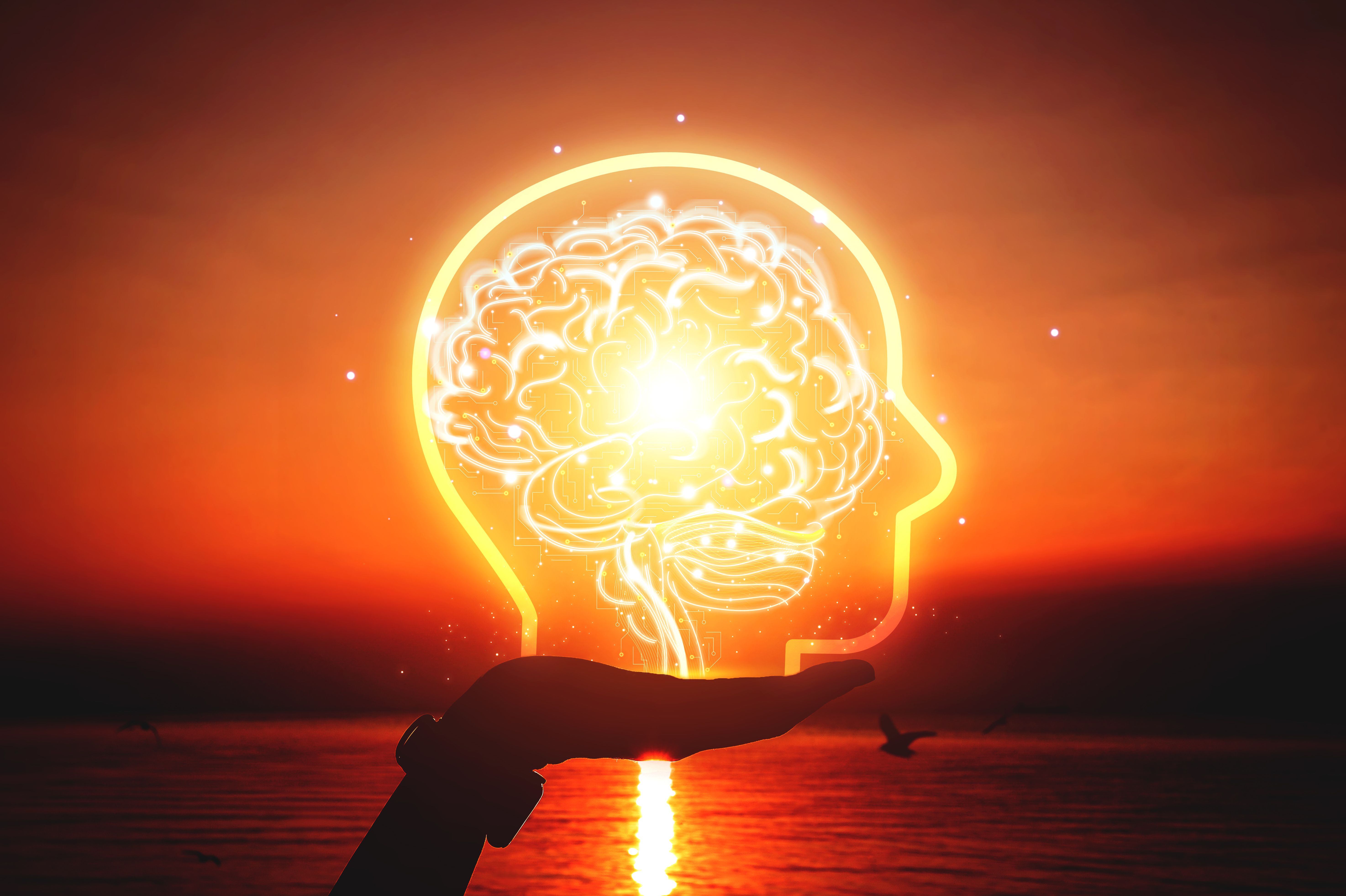 mind body connection