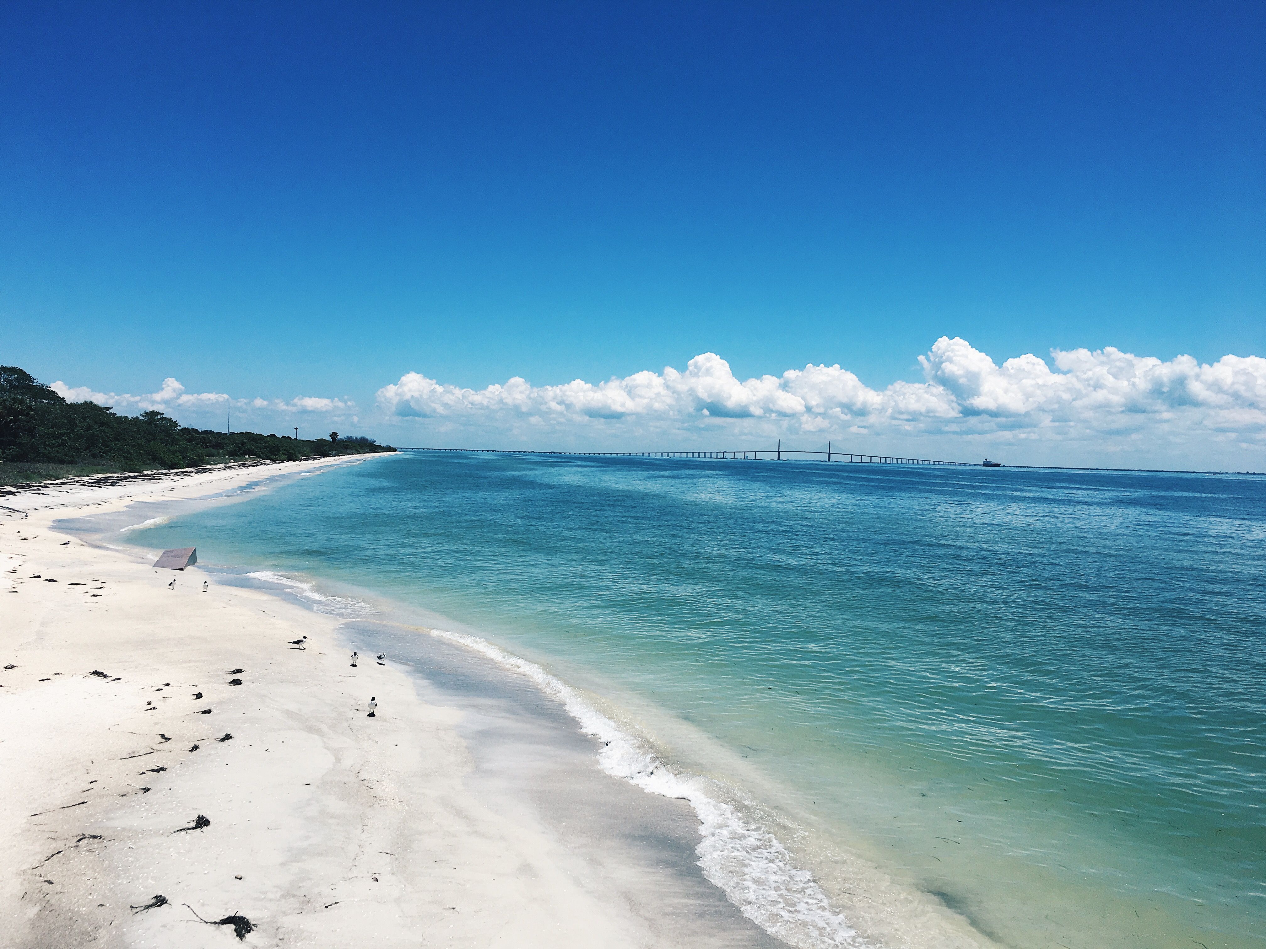 san francisco climate