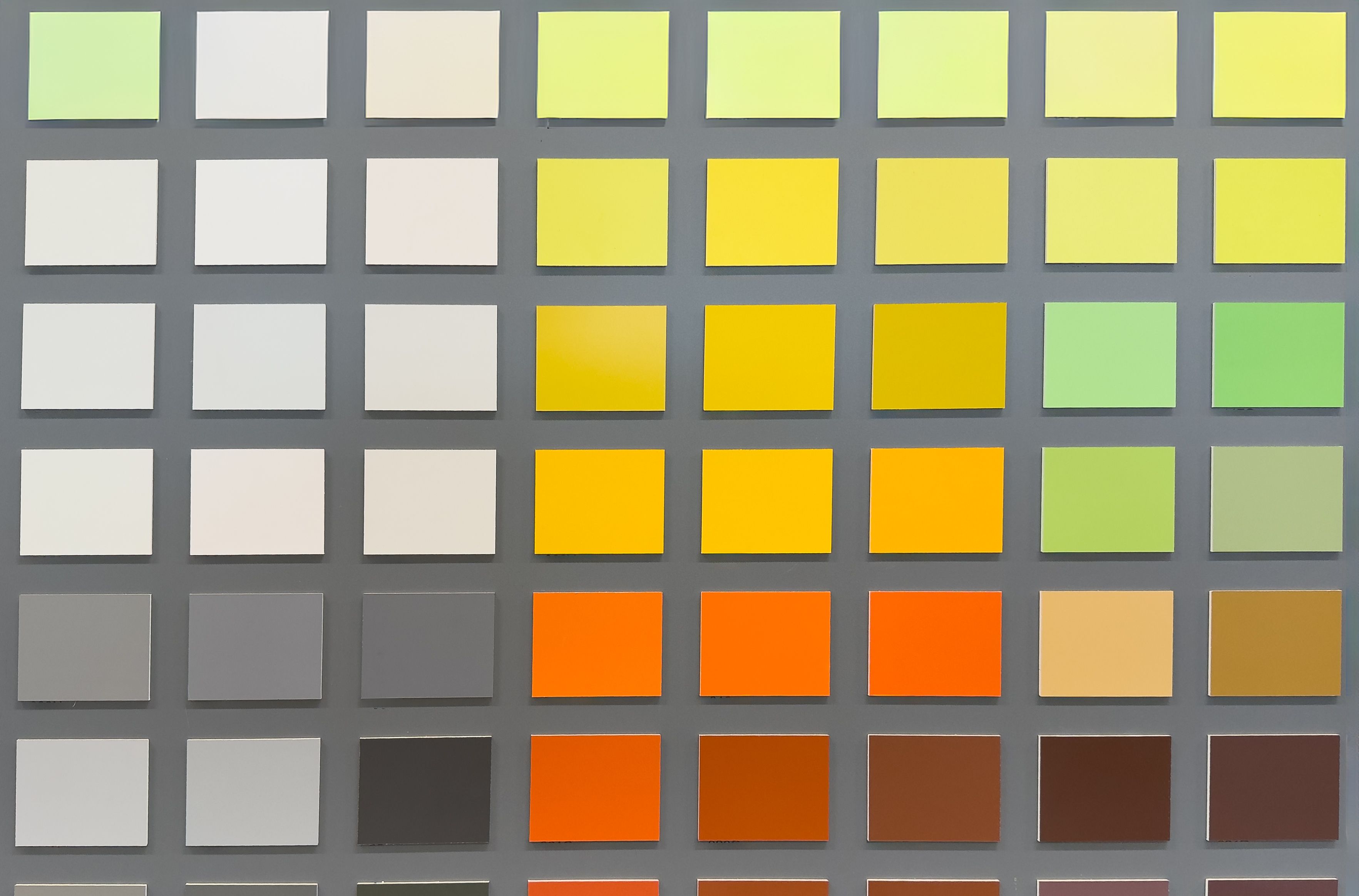 paint color selection