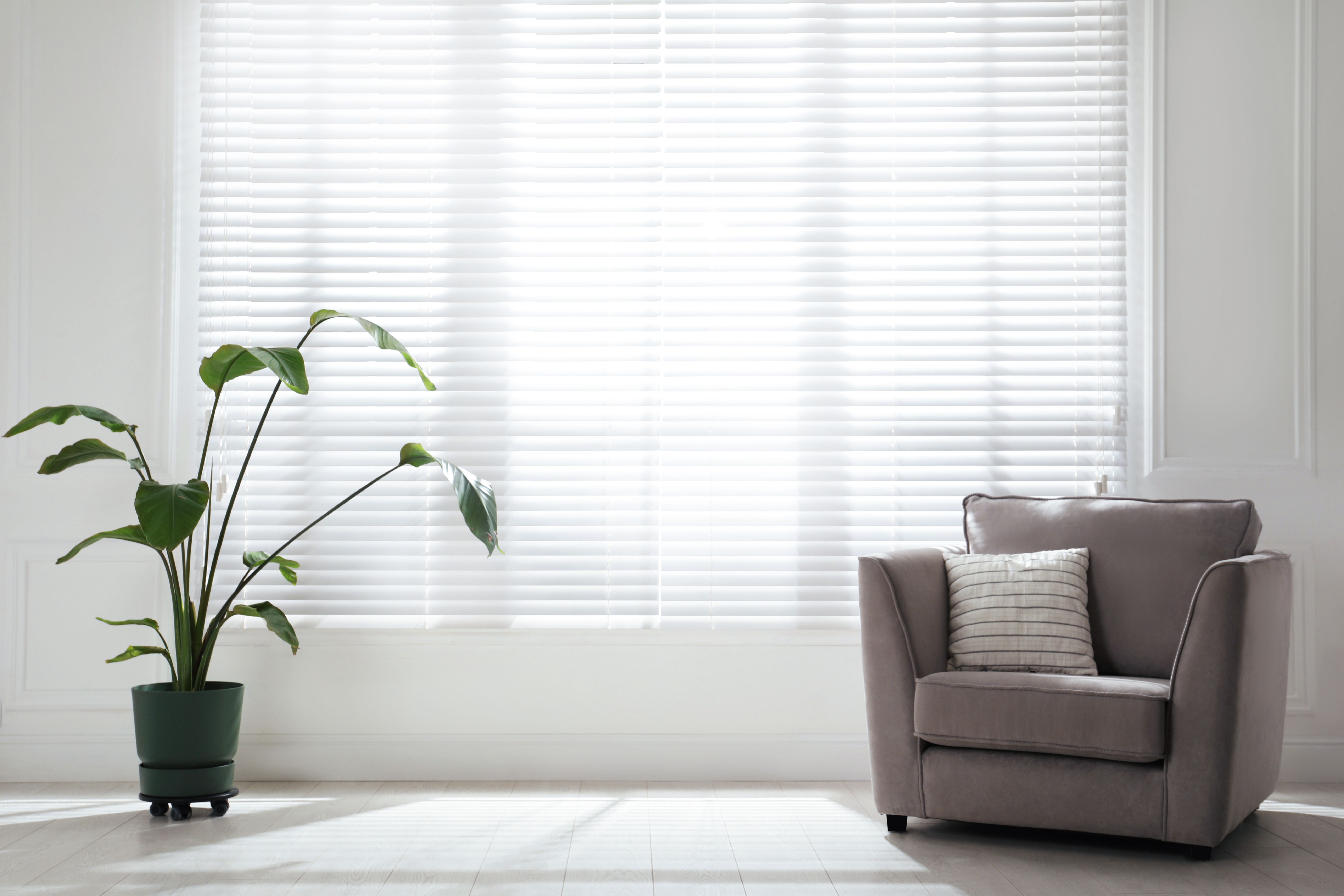 modern apartment blinds