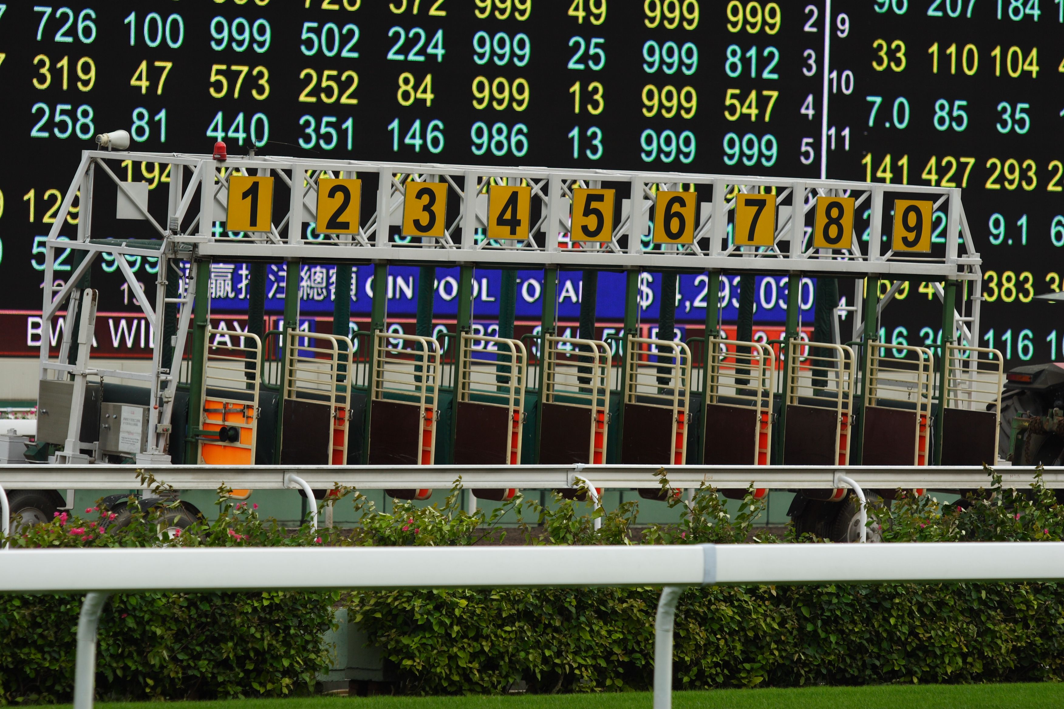 The Starting Gate