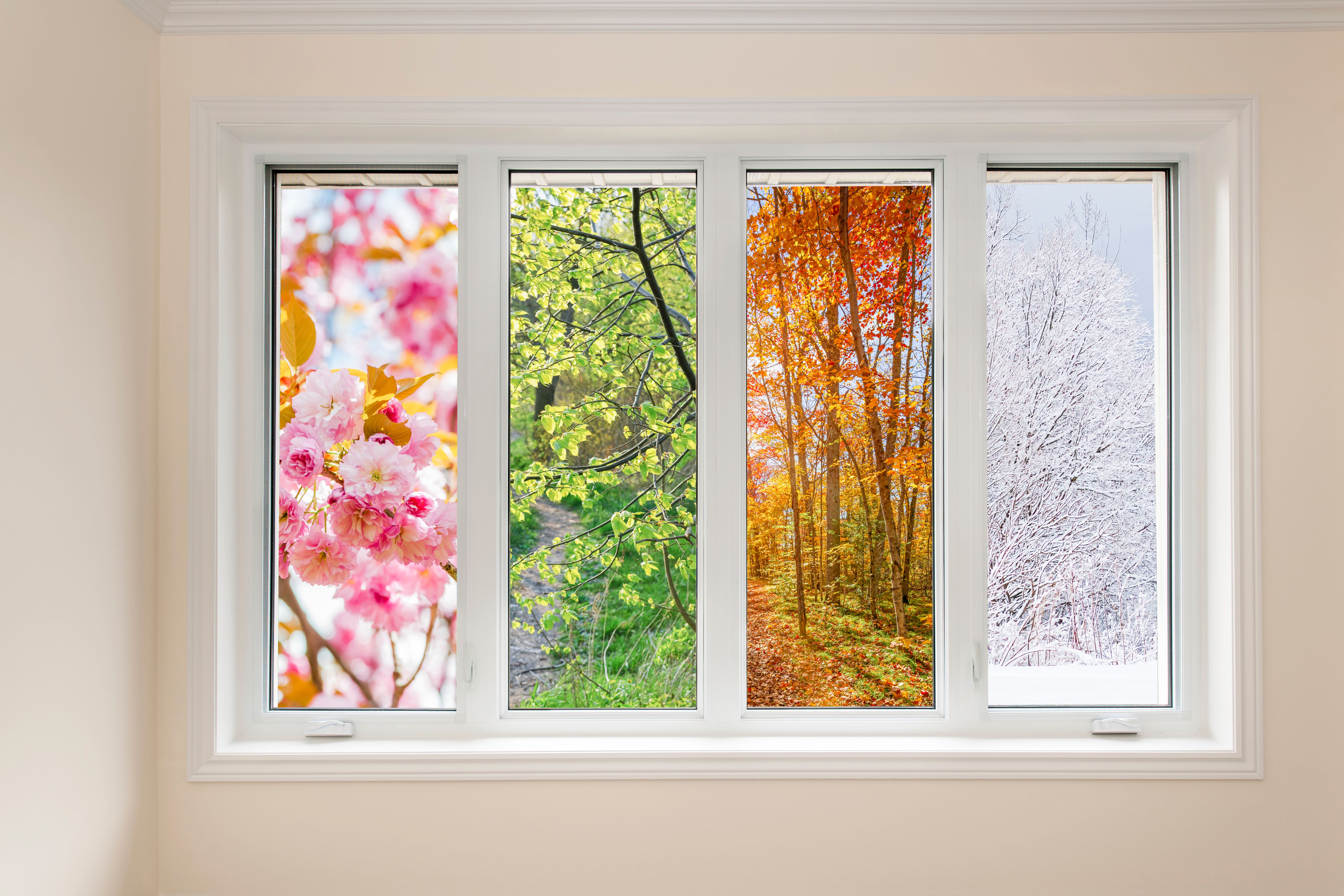 seasonal home renovation