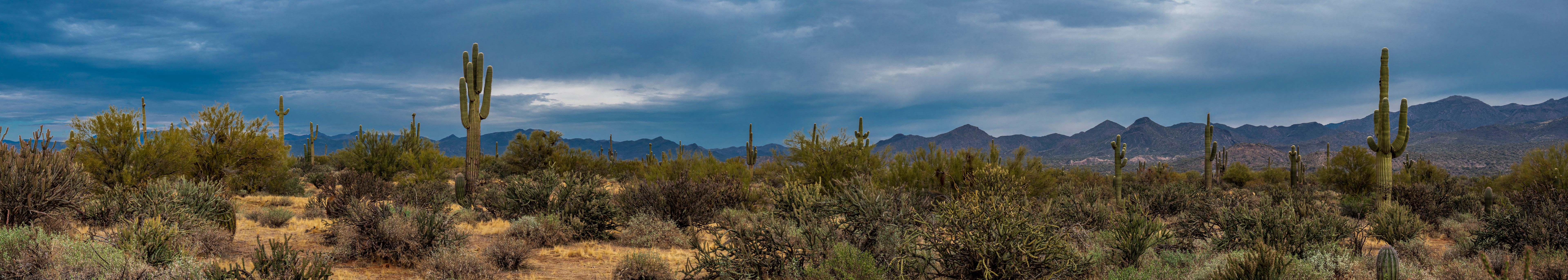 arizona desert border