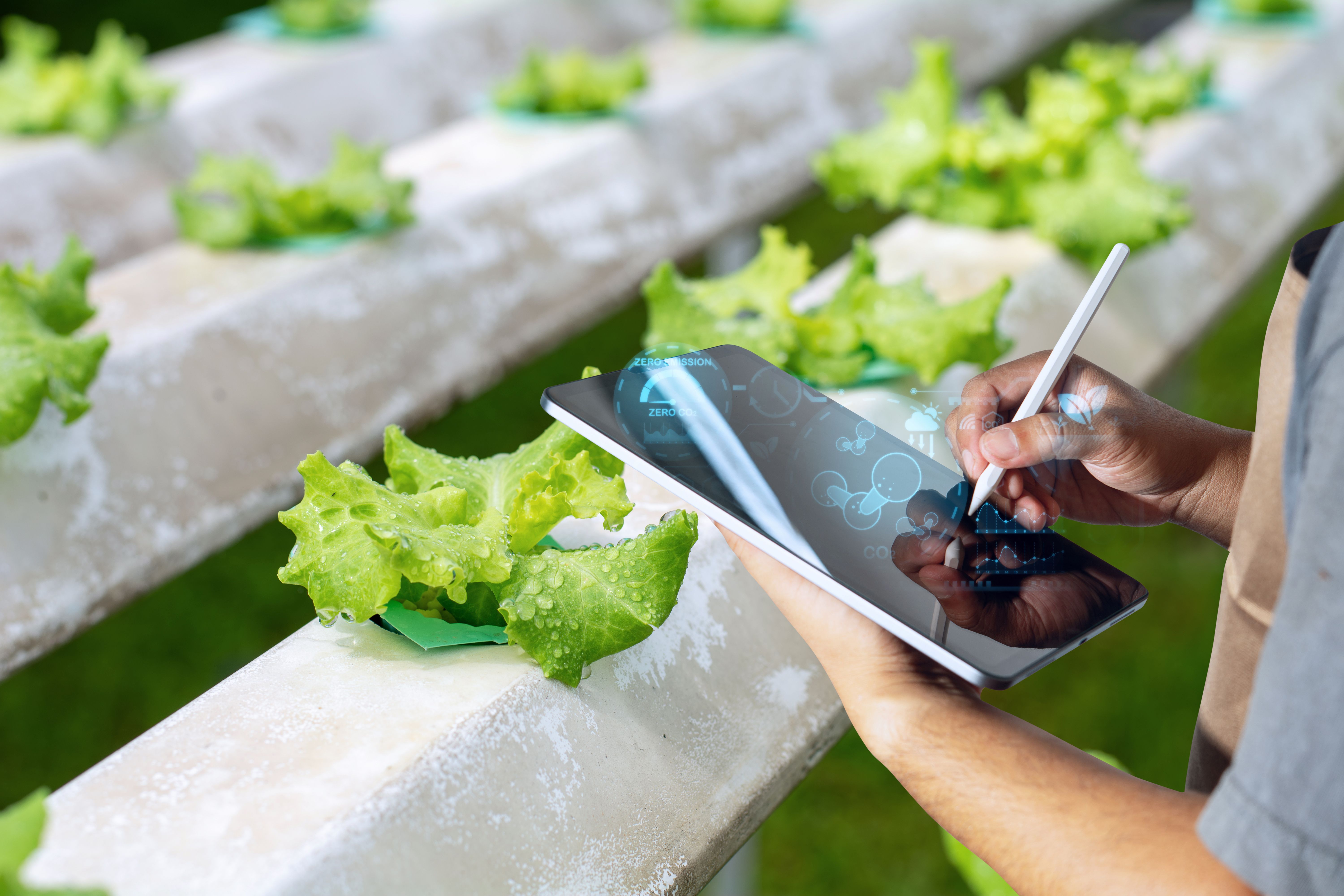 sustainable food production