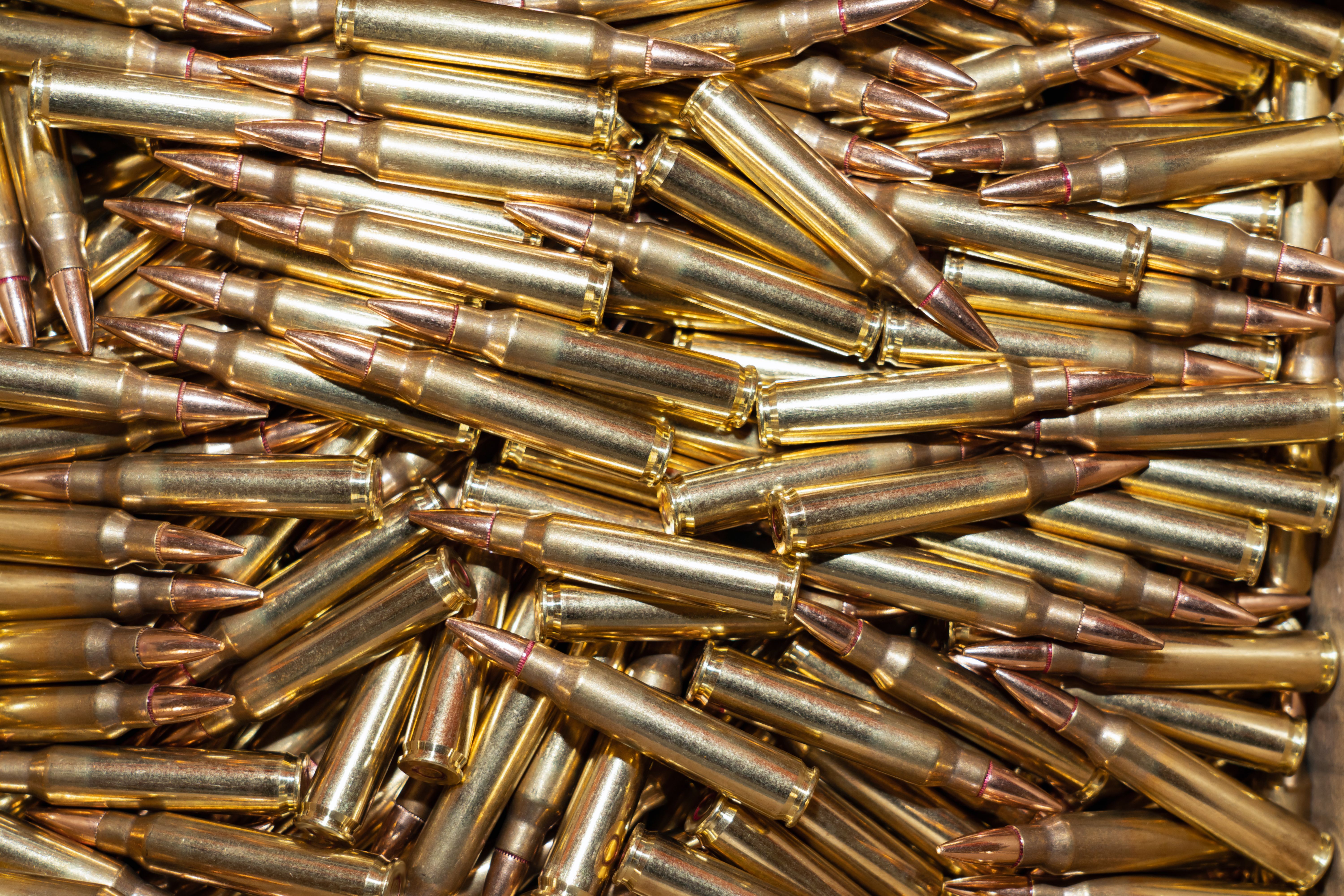 searching ammunition price