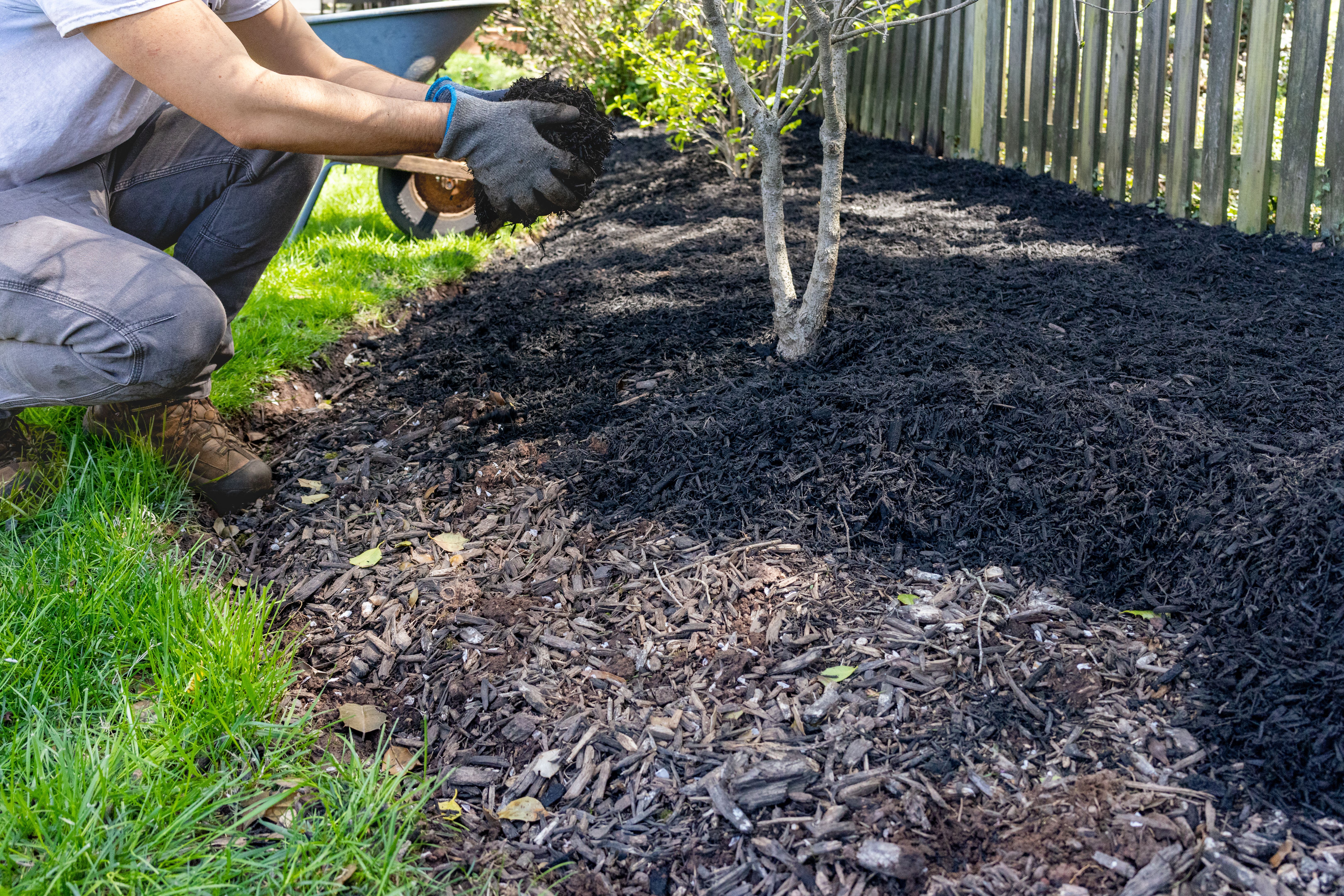 mulching