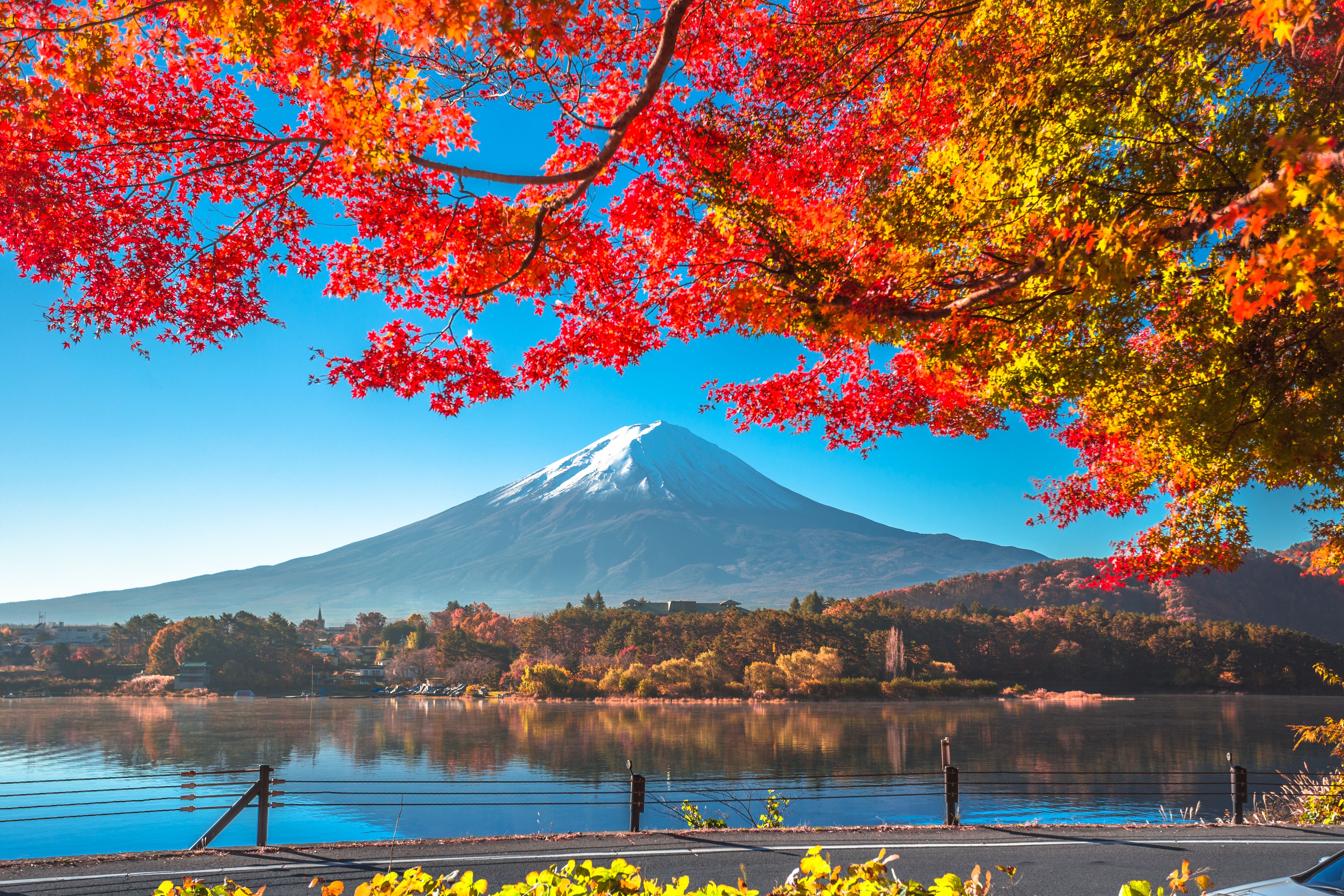 japan autumn