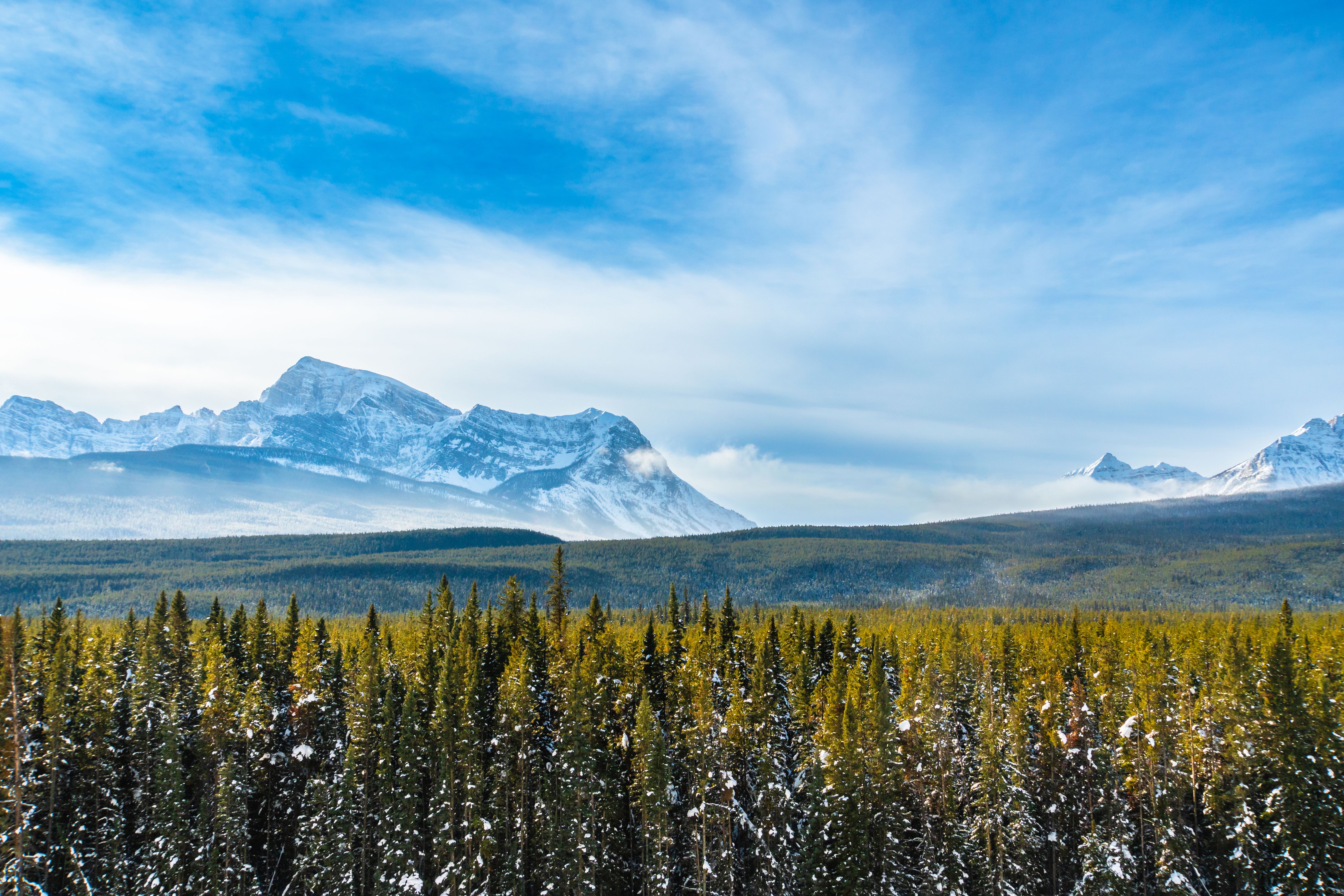 transportation white mountains