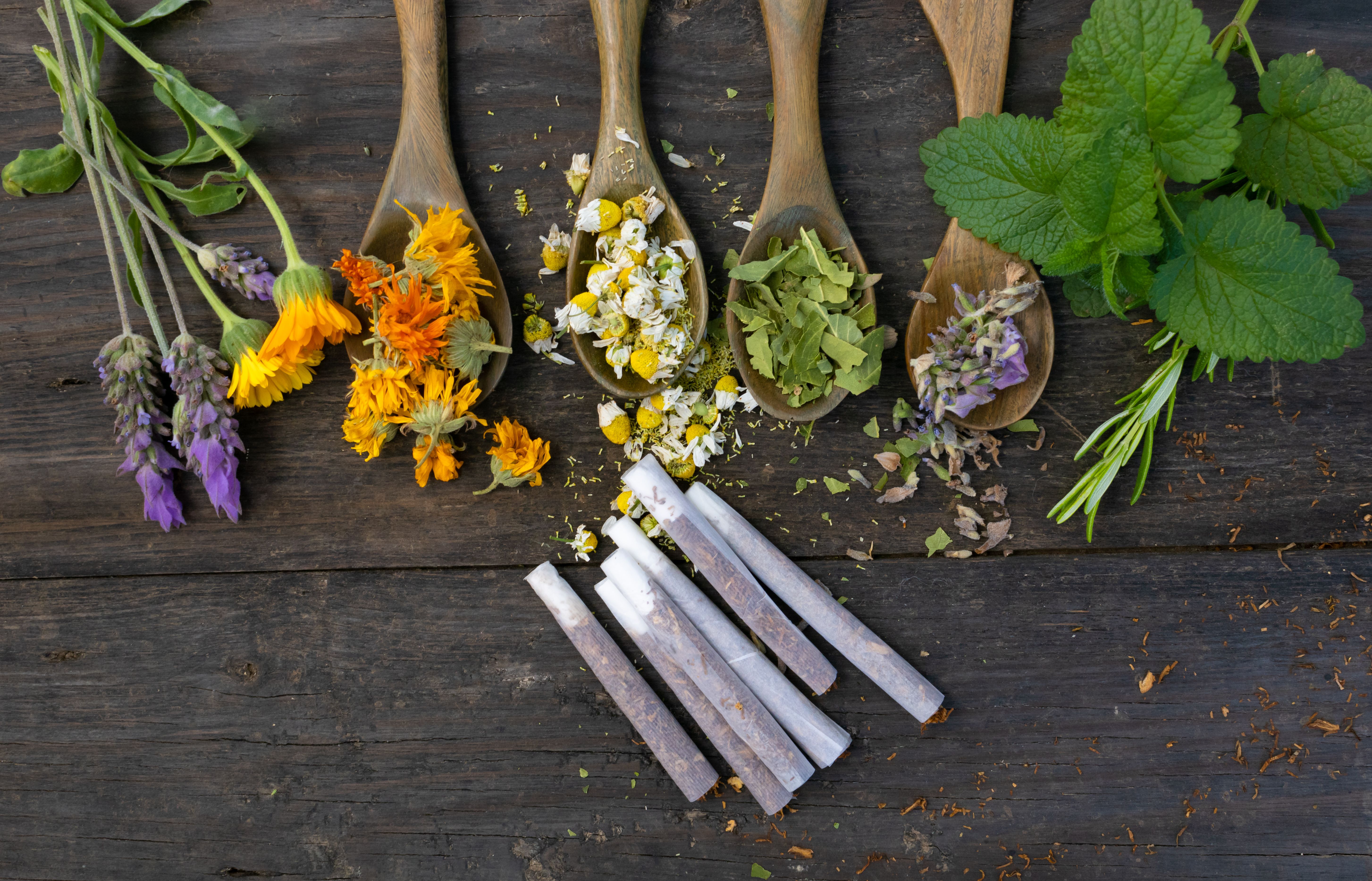 Herbal cigarettes with flowers and plants with medicinal properties Herbal cigarettes with flowers and plants with medicinal properties