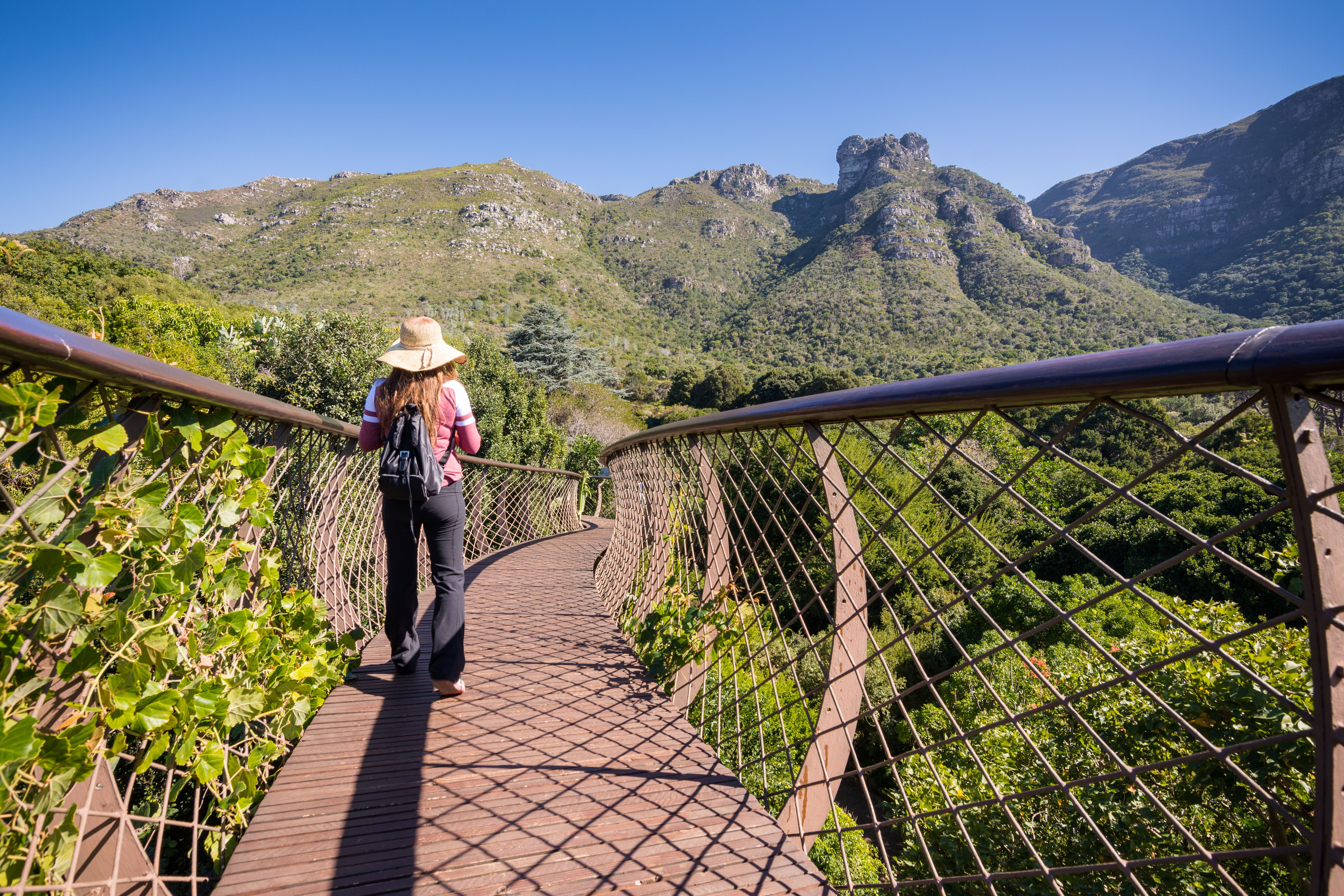 Kirstenbosch Botanical Gardens