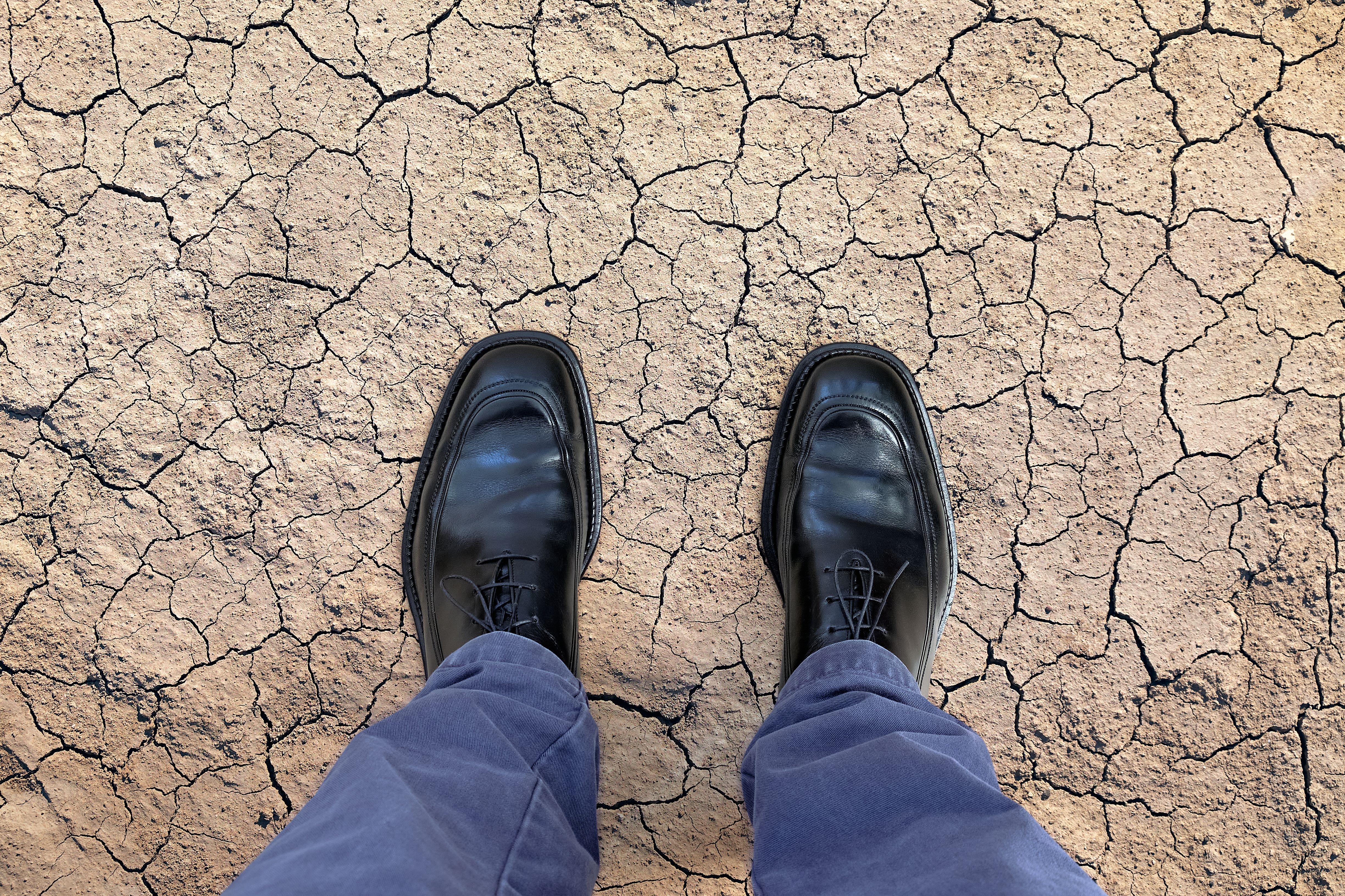 desert heat business