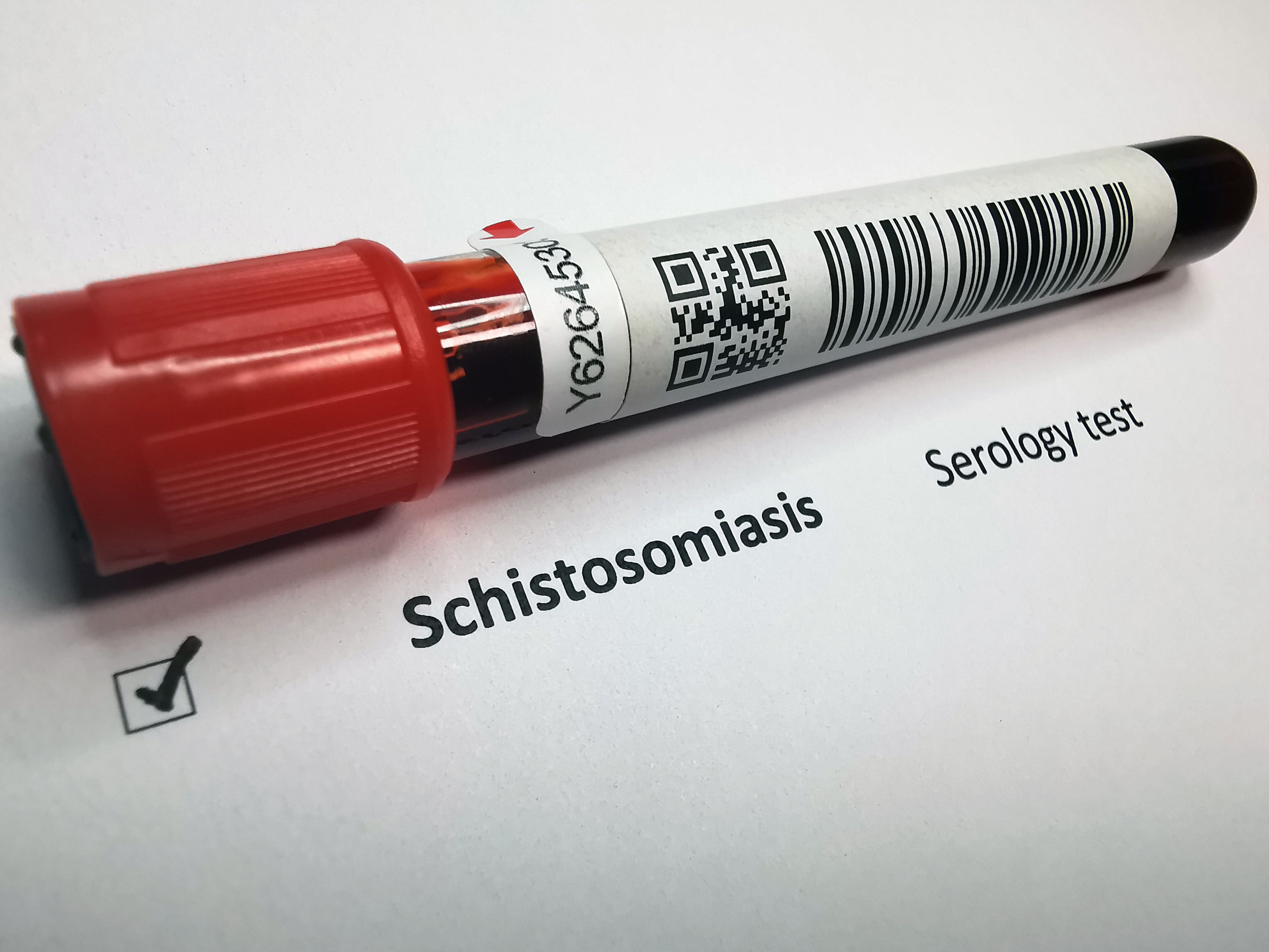 bloodborne pathogens